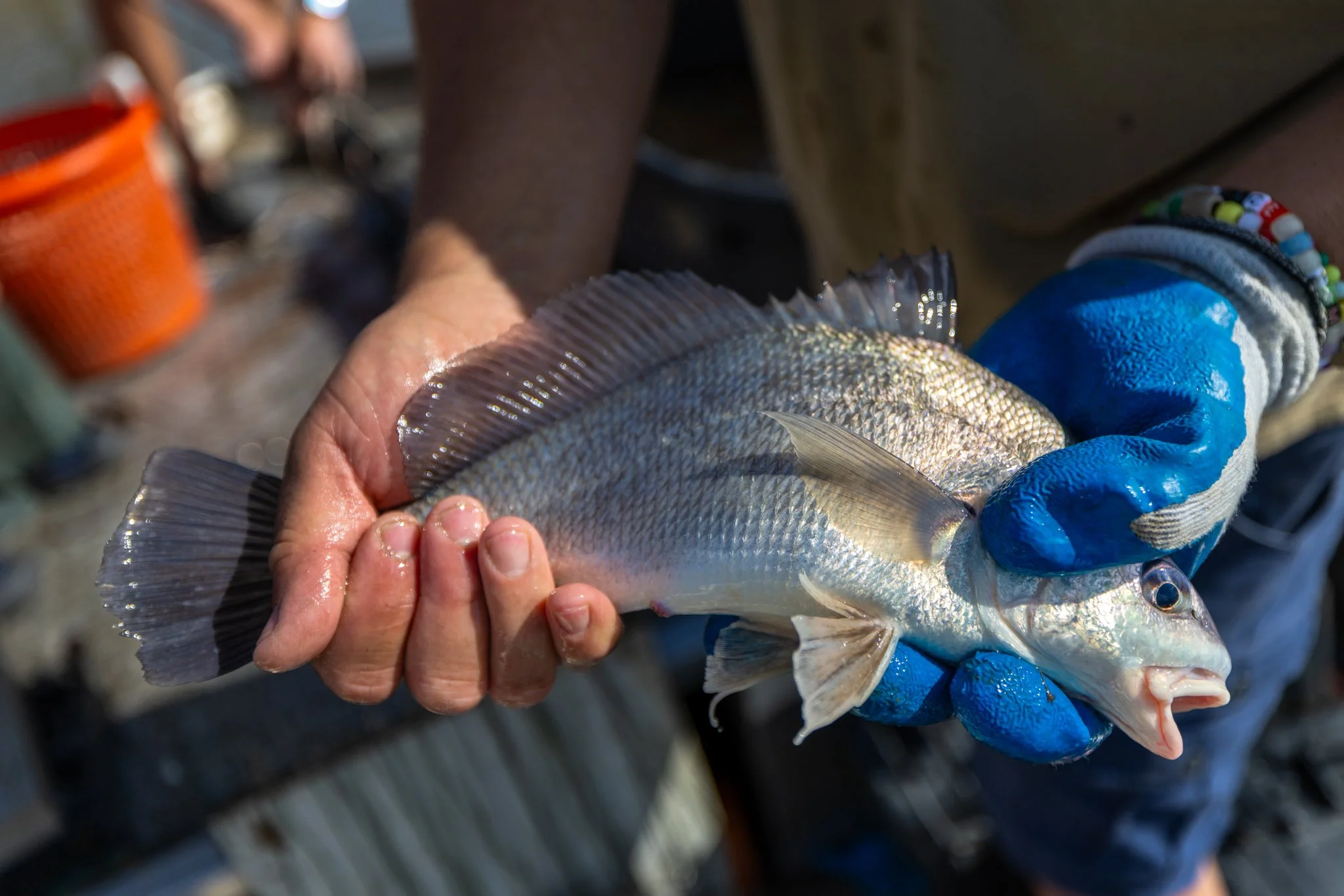 041426 Fishing Asset-21.jpg