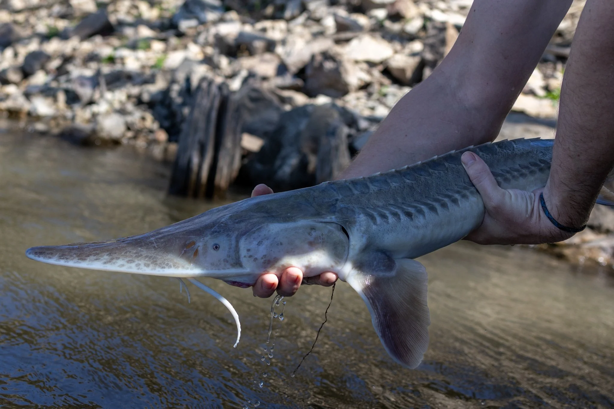 041426 Fishing Asset-56.jpg