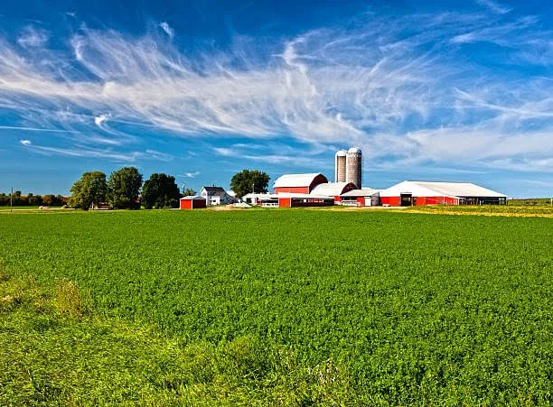 Red dairy farm with green grass and blue sky