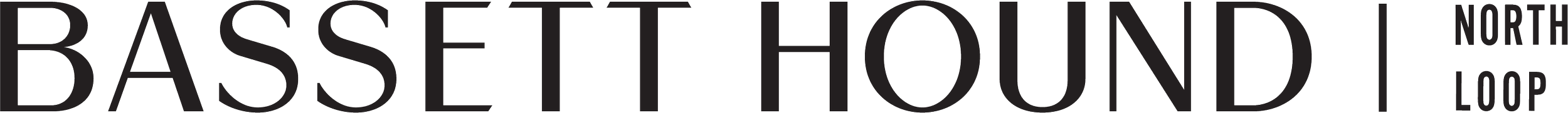 Logo with the text 'Bassett Hound North Loop' in black font on a white background.