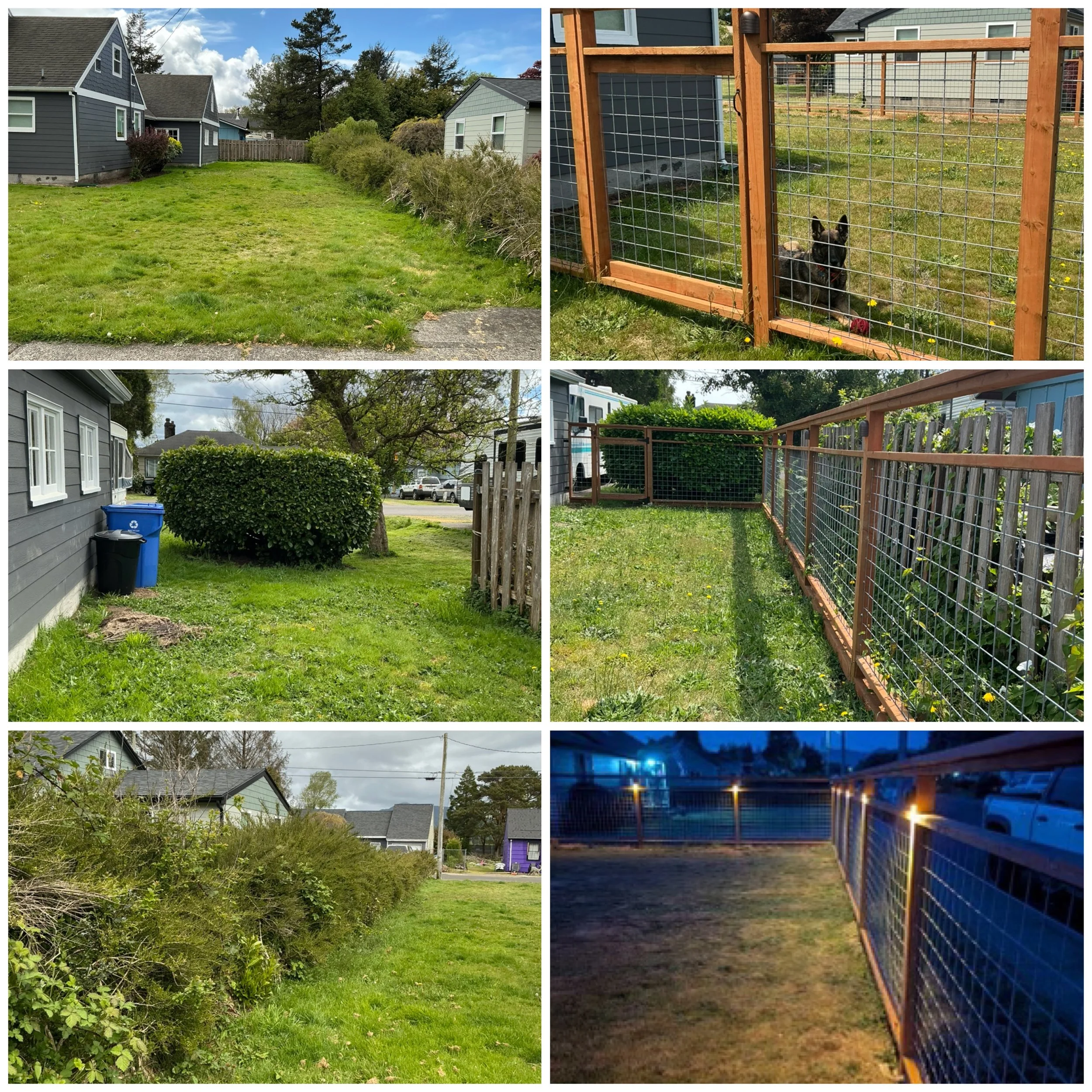 Bush removal, Custom Fence build with lighting system. 2025