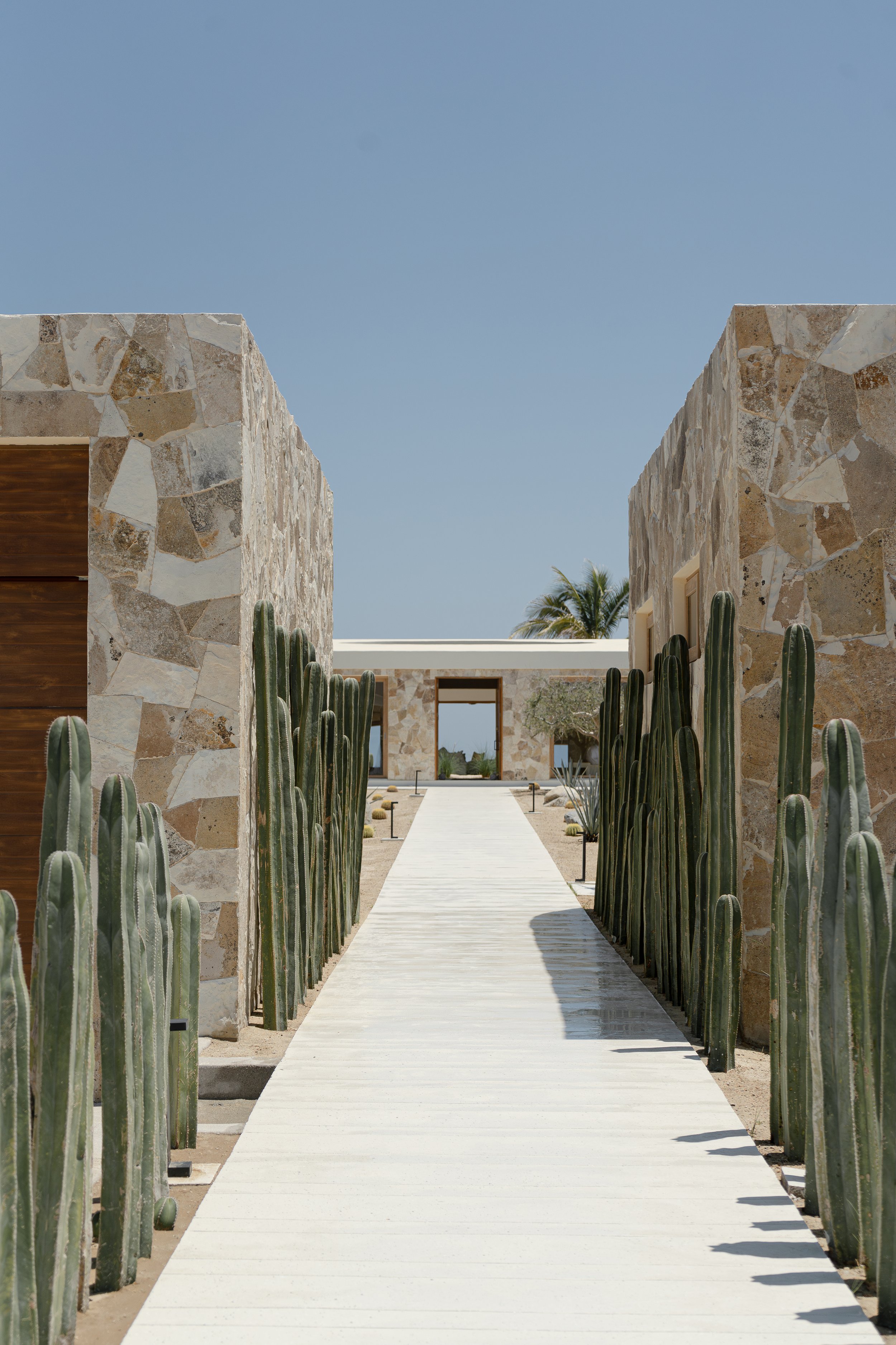Modern stone building with a white walkway lined by tall cacti, leading to a central doorway; clear blue sky in the background.