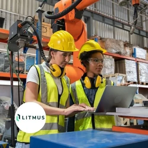 Litmus fuuz integration
