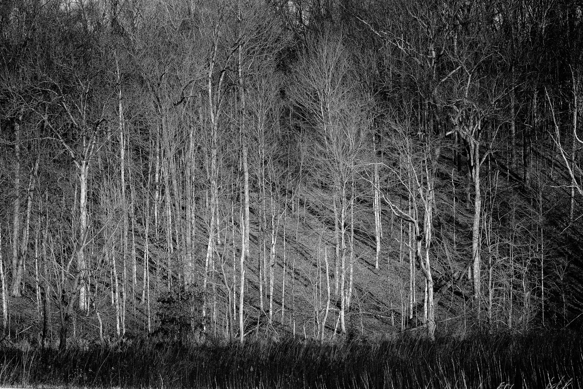 Quiet Witness: Architecture, Machinery, and Nature Remembered