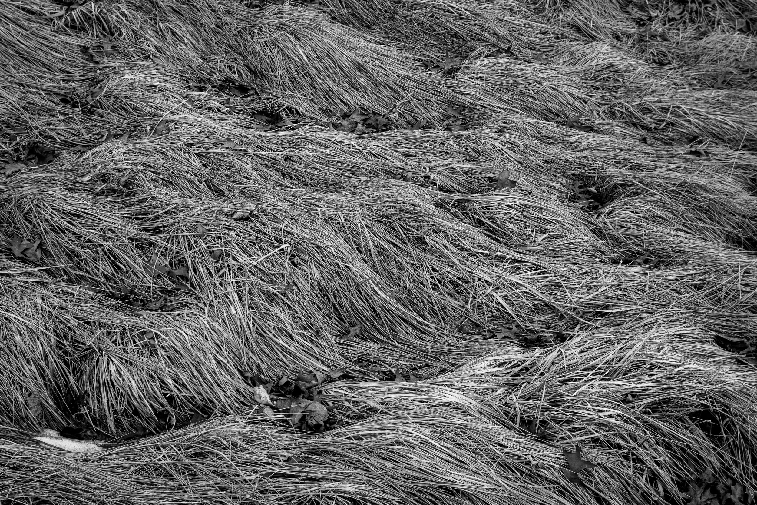 Windrow
