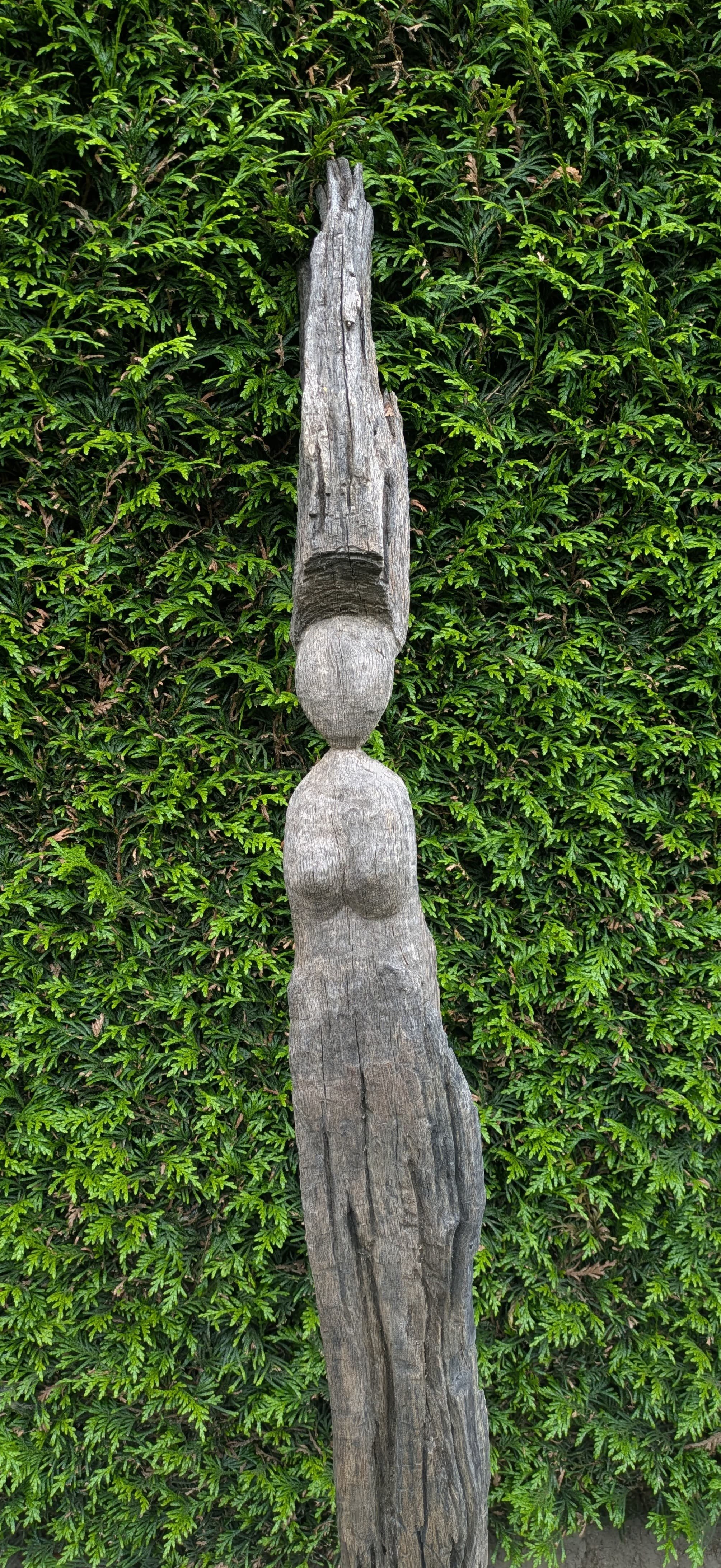 hout_24062025.jpg