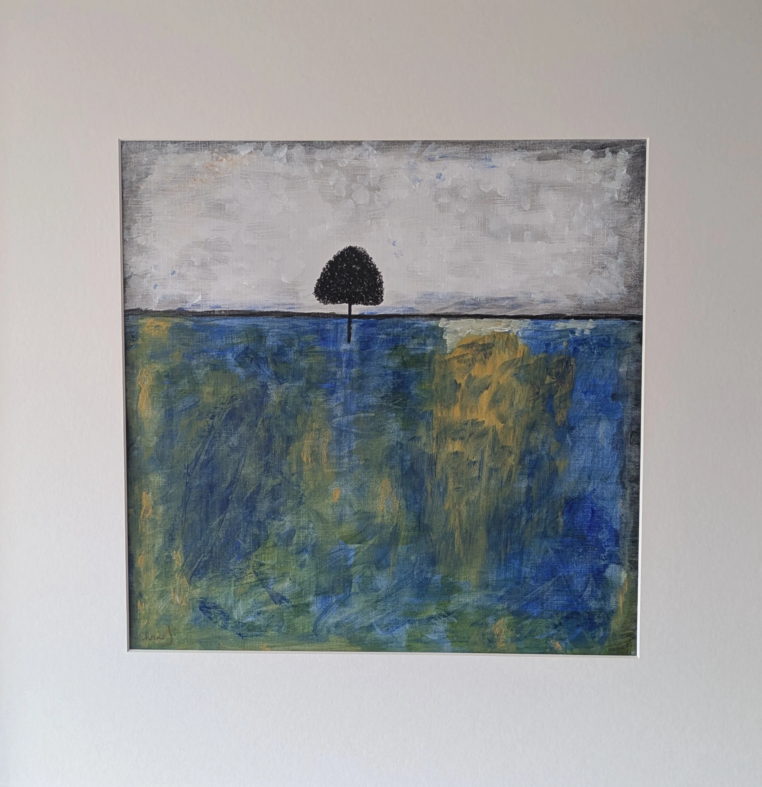 29 x 29 