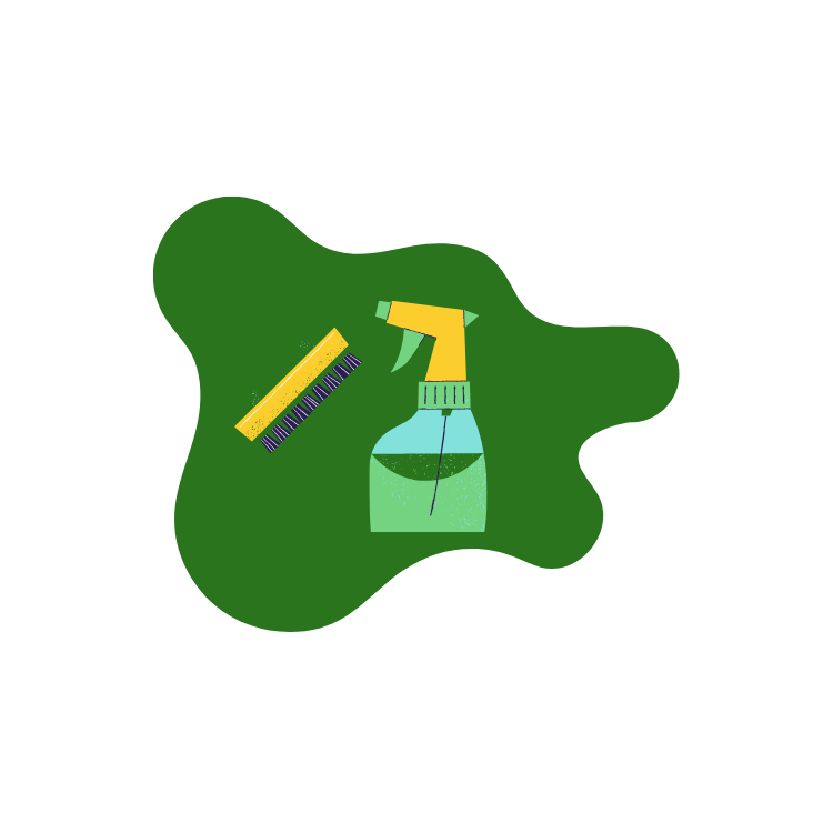 standard clean.png
