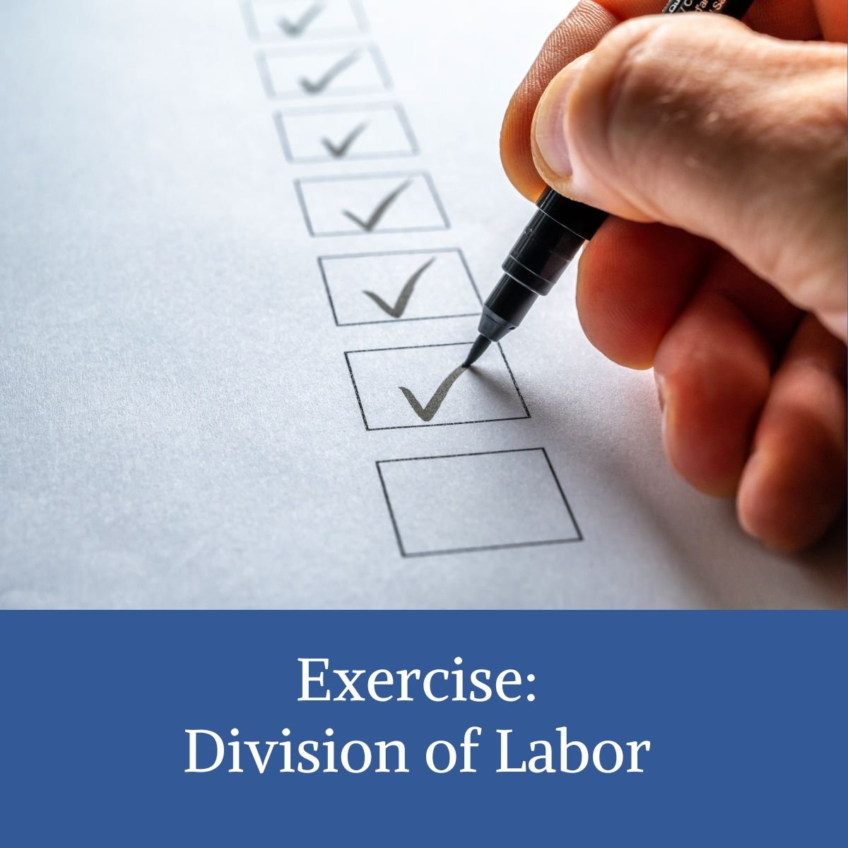 division of labor .jpg