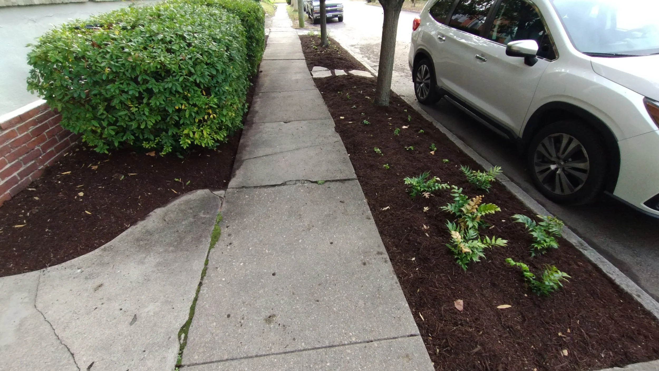 Condo Building — Mulch refresh and new plant installation for cleaner beds and low maintenance.