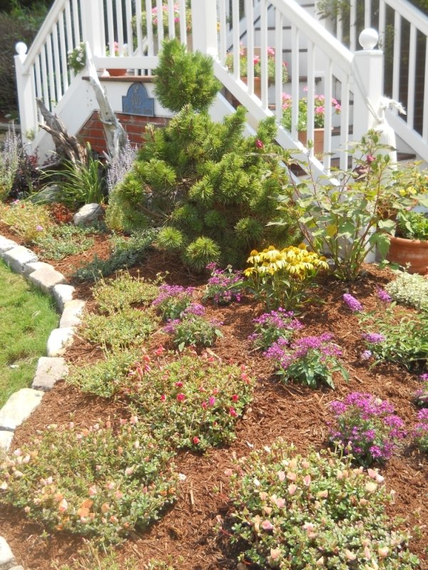 Bed Cleanup & Mulch Touch-Up