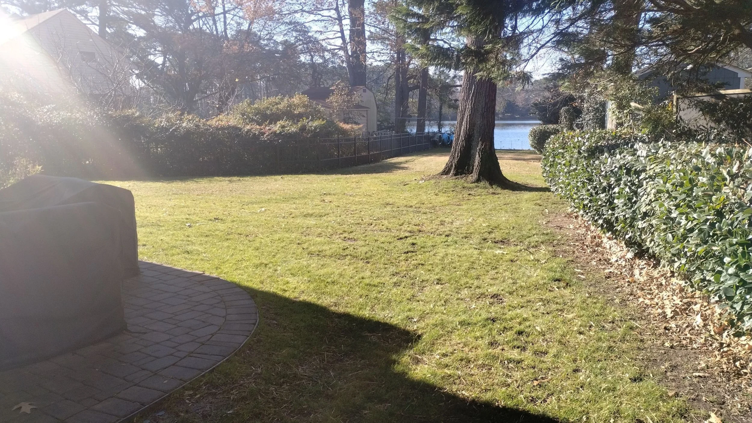 After — Bi-Weekly Maintenance: even cut and debris removal.