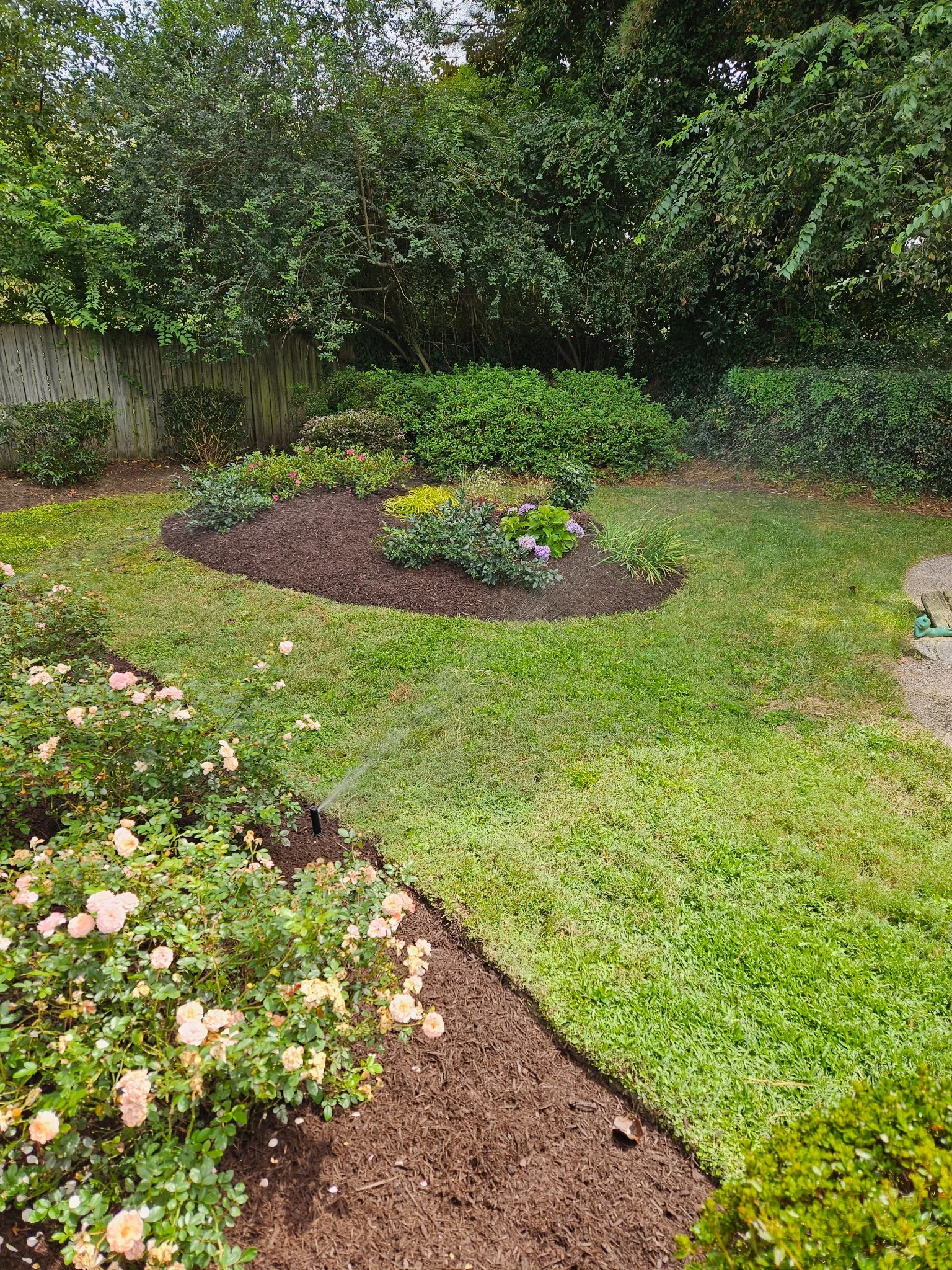 After — Yard cleanup, pruning, and mulch refresh for crisp edges, healthier plants, and a polished finish.
