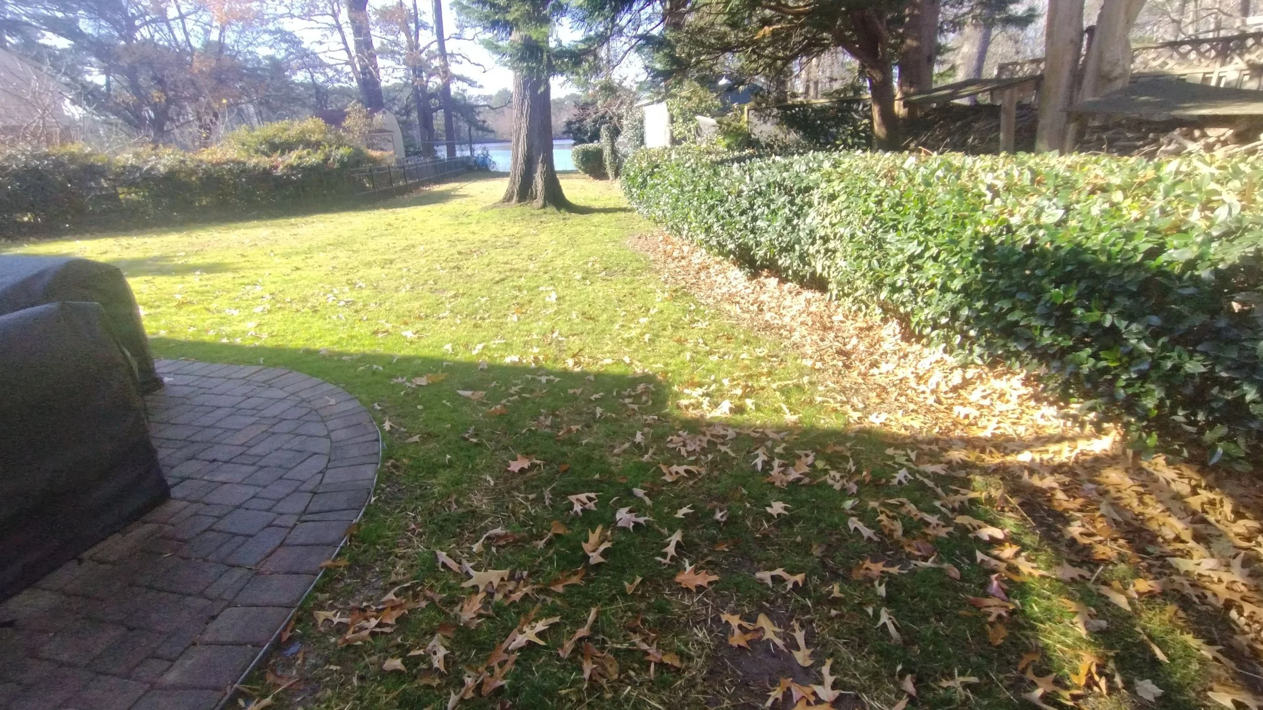 Before — Prior to Bi-Weekly Maintenance: light overgrowth and seasonal debris.