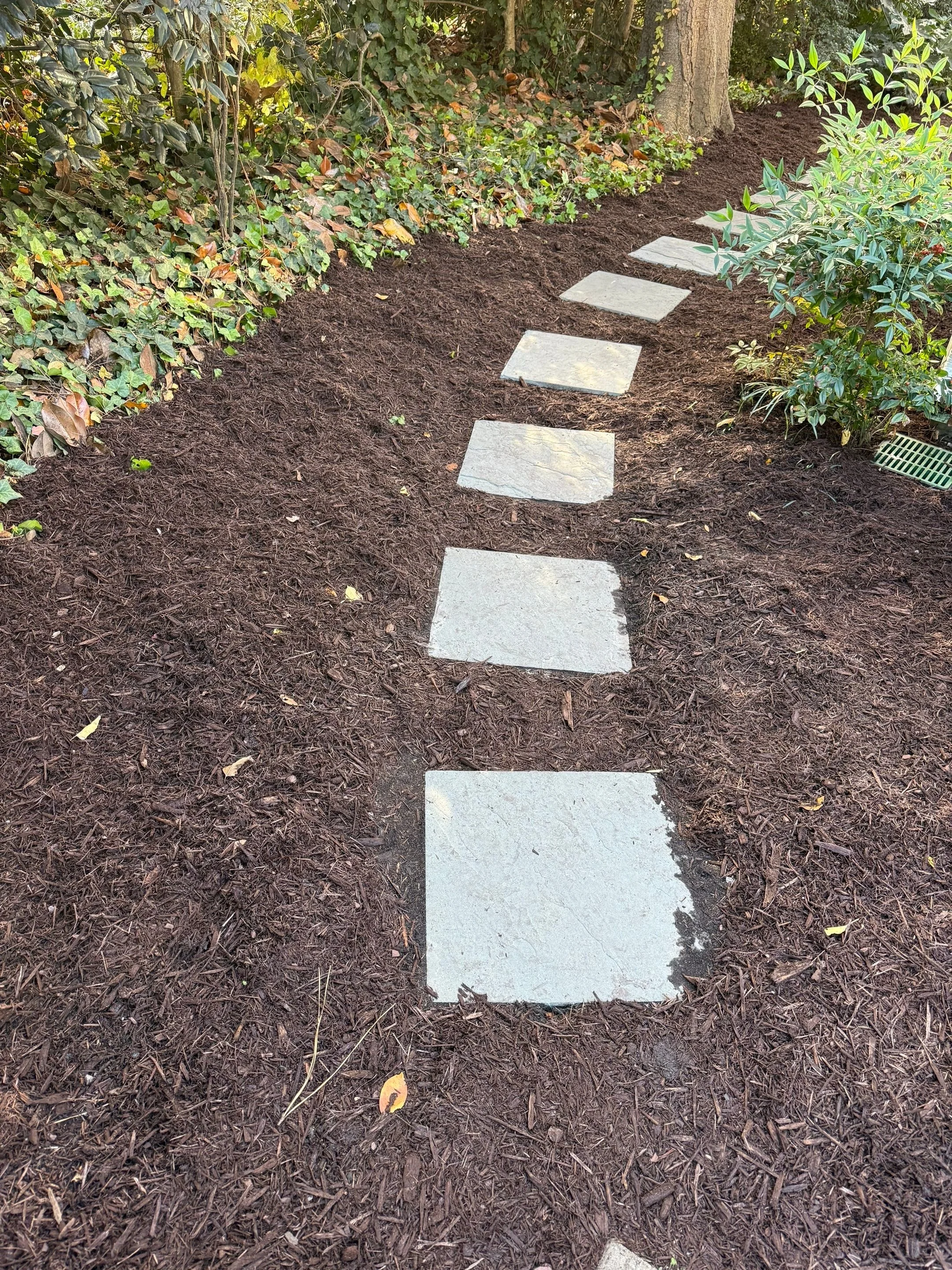 Mulch Refresh & Ivy Trim — Cleared the walkway, tightened edges, and refreshed mulch for a cleaner, safer path.