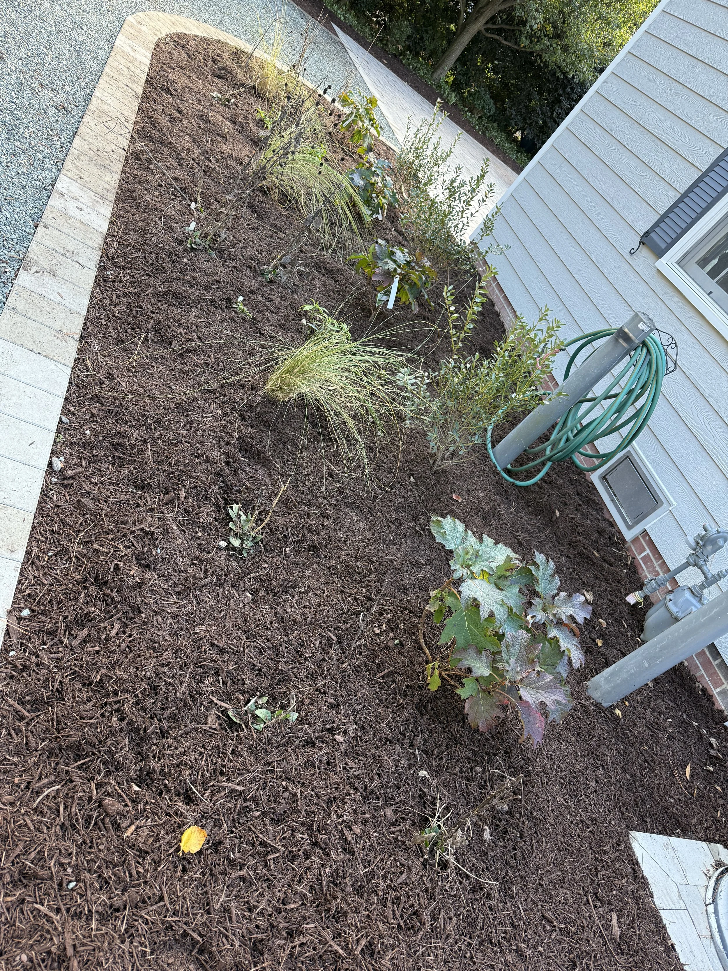 After — Final plant installation with proper spacing, soil prep and a clean mulch finish.
