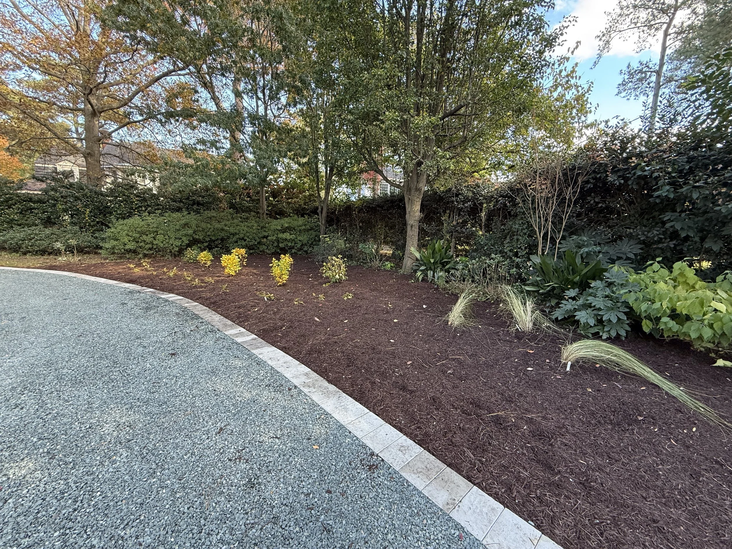 After — Final plant installation with proper spacing, soil prep and a clean mulch finish.