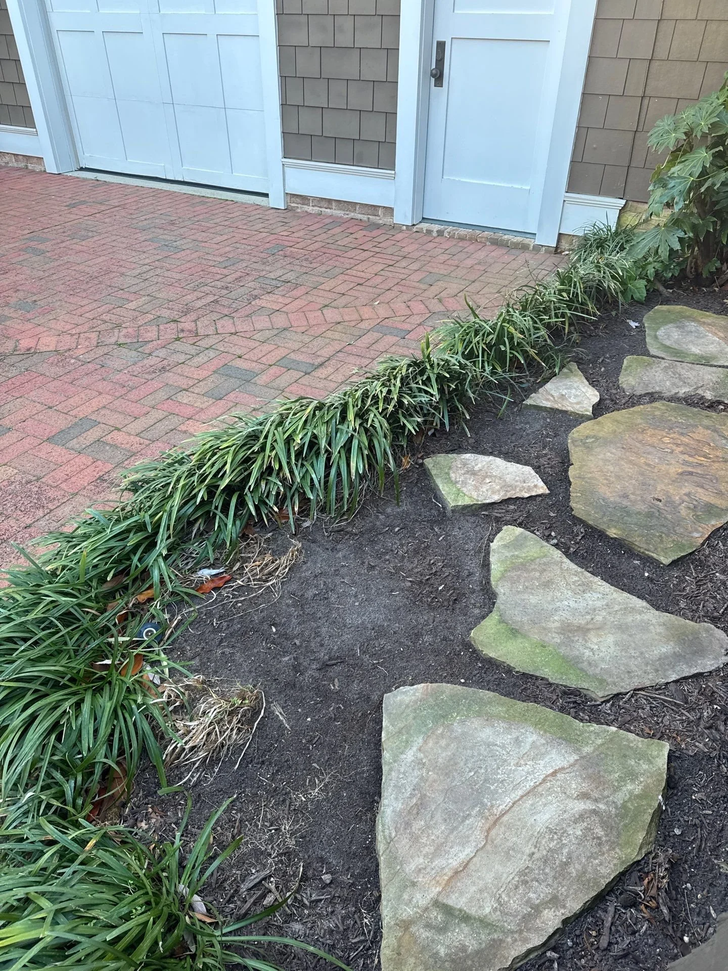 Bed & Liriope Cleanup