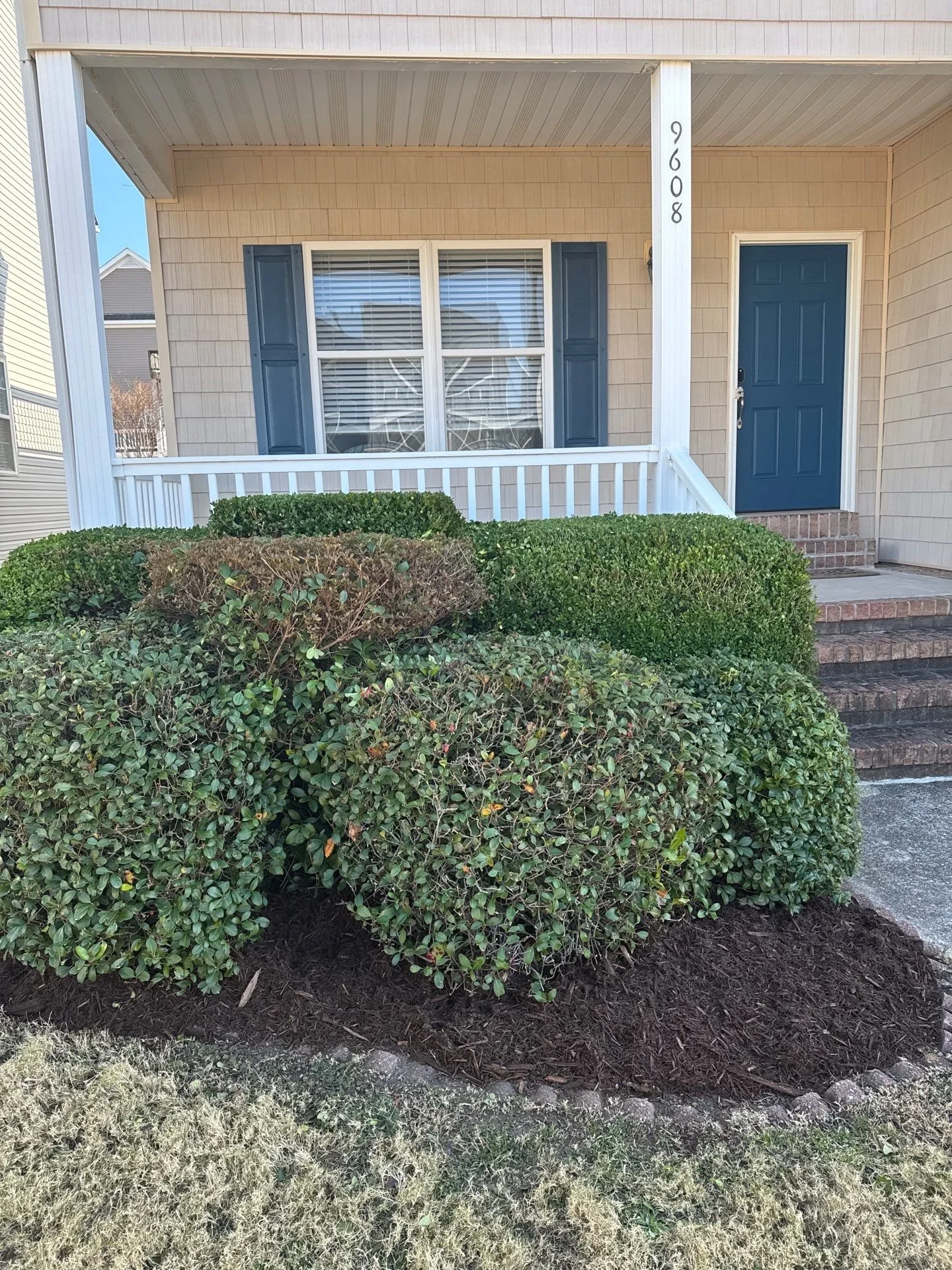 Pruning & Mulching — Examples of health-focused pruning with fresh mulch for cleaner lines and moisture retention.