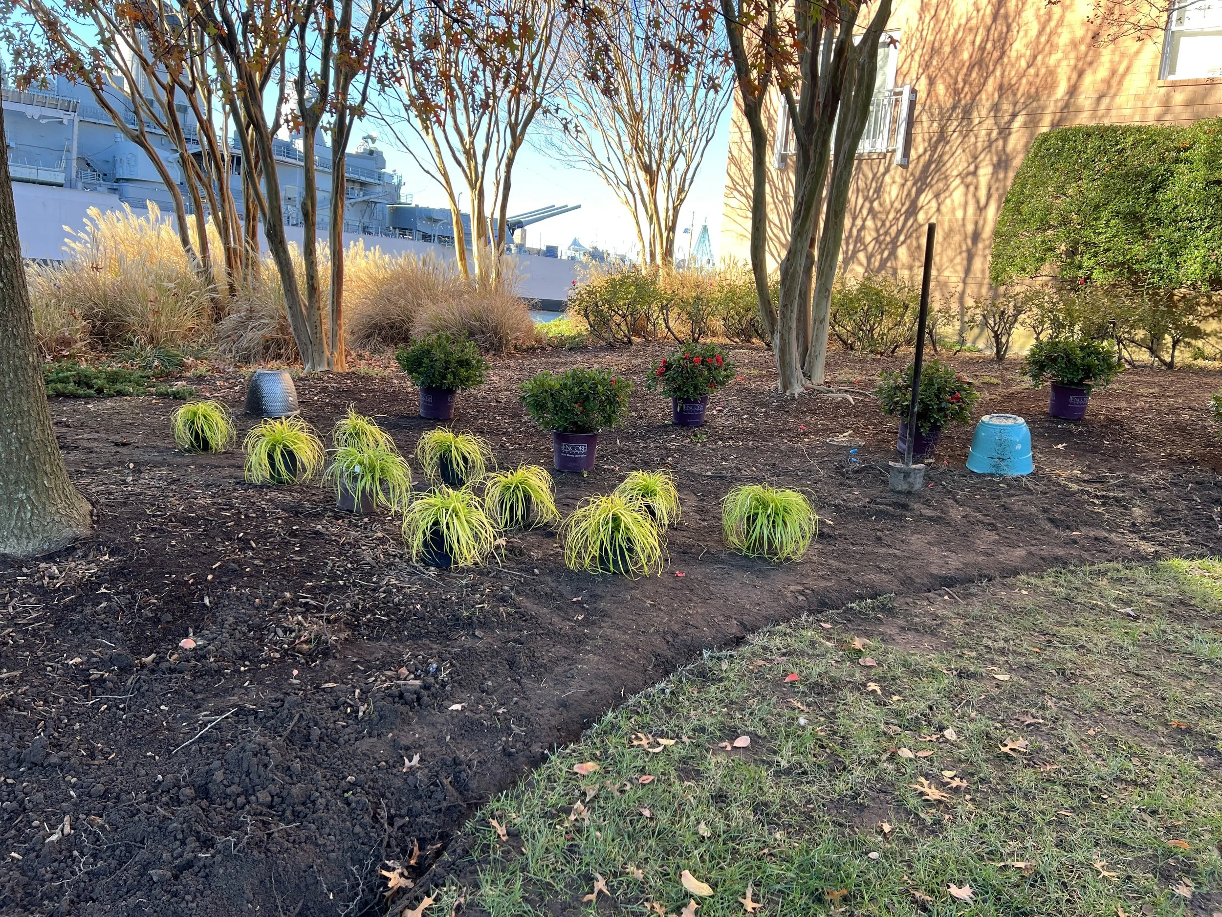 Process — Bed preparation and plant placement: define edge, amend soil, stage plants by height/light, then install.