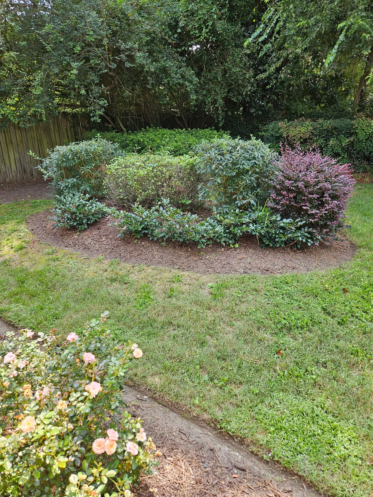 After — Light shrub pruning to preserve natural form, bed edge sharpening, even mowing, and debris cleanup.