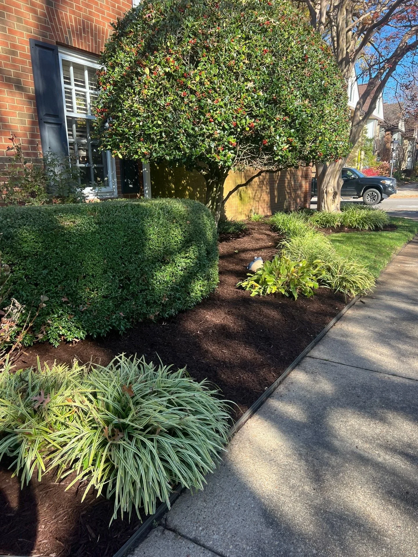 Pruning, Bed Cleanup & Mulching — Health-focused pruning, debris removal, and a fresh 2–3" mulch layer for a clean, low-maintenance finish.