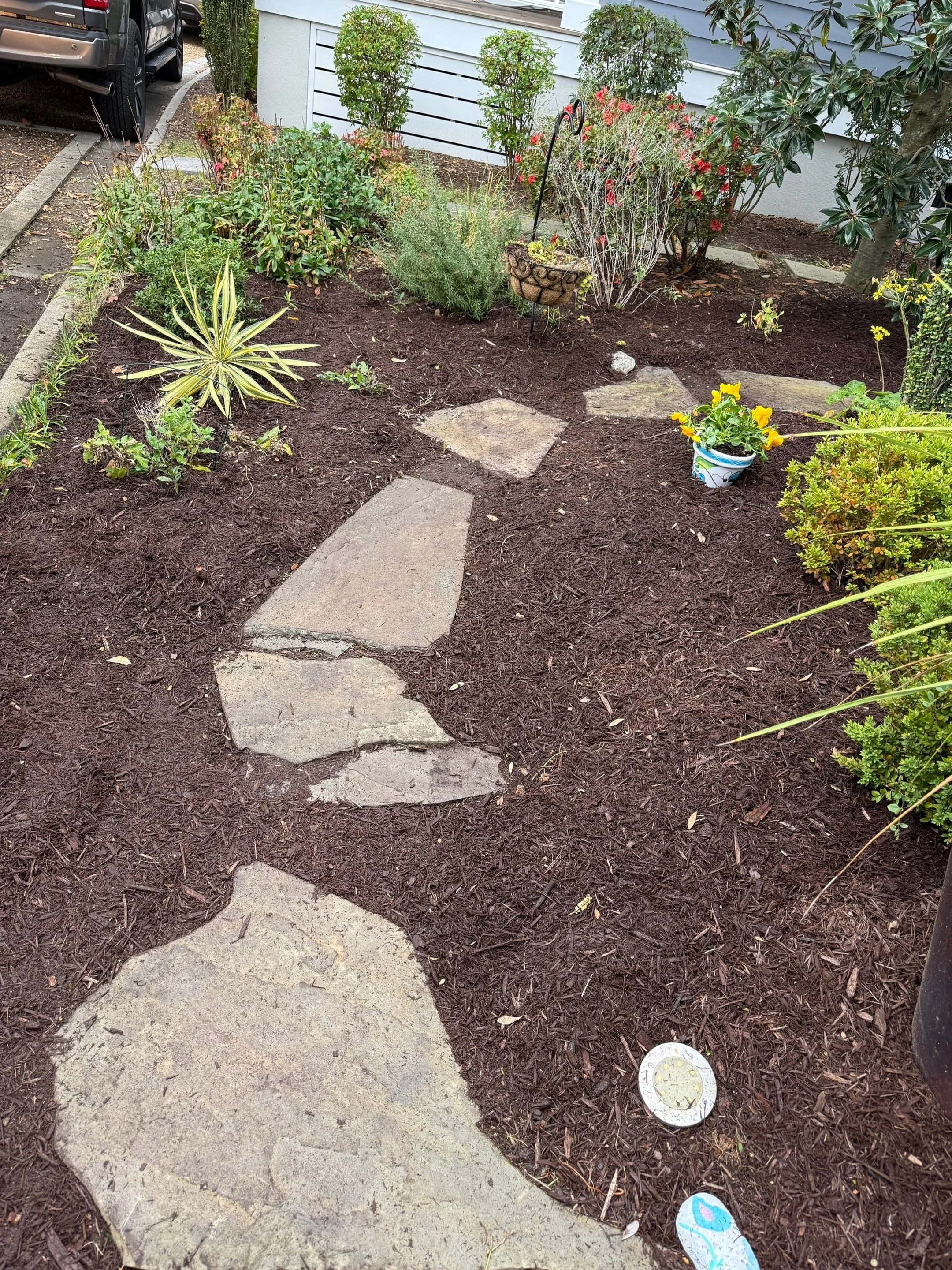 Overgrowth Removal & Mulch — Cleared excess growth, cleaned the bed, and installed fresh mulch for a neat, low-maintenance finish.
