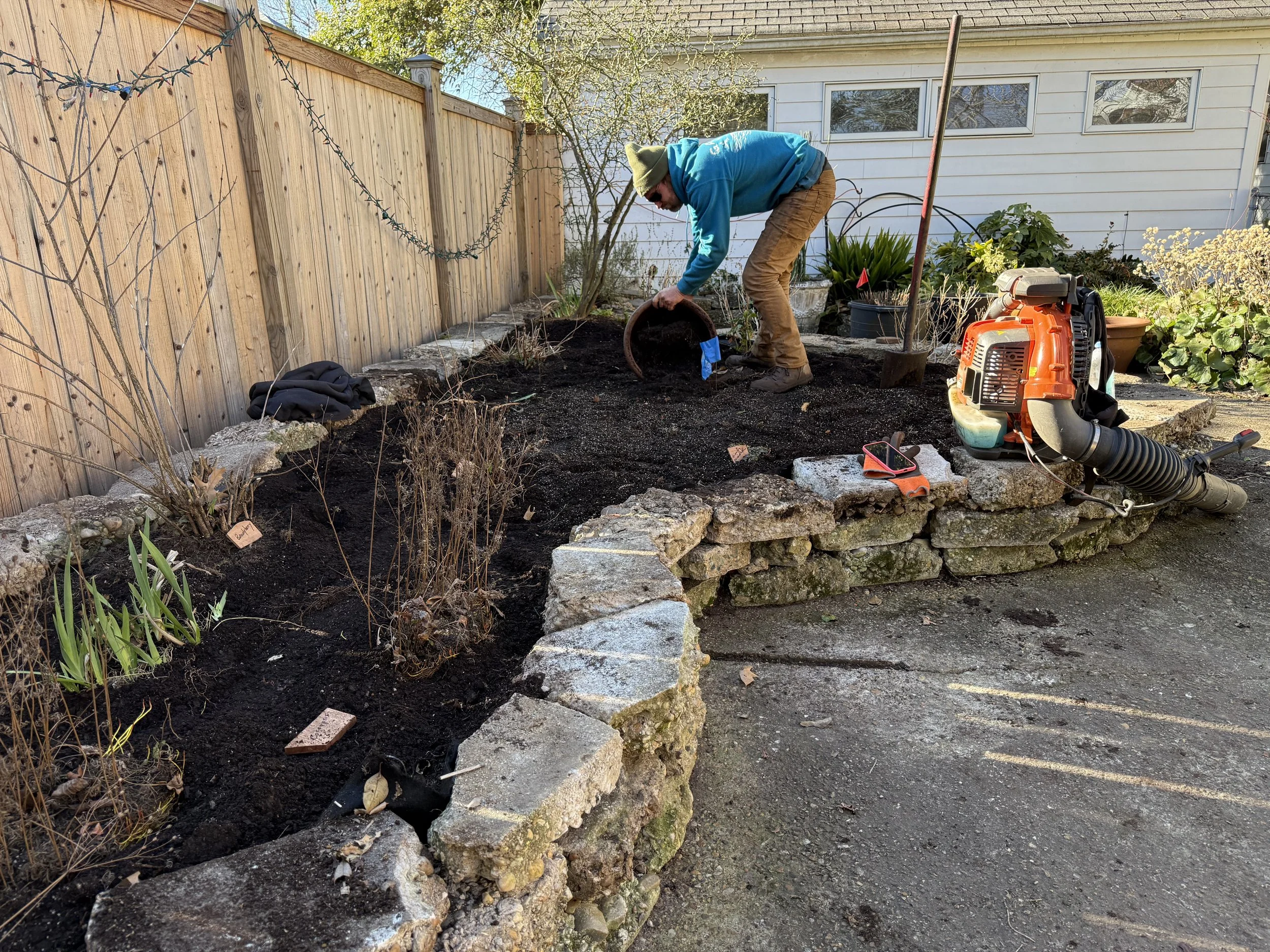 After — Rebuilt bed with native plant groupings, proper spacing, and a clean edge—designed to grow and allow future additions.