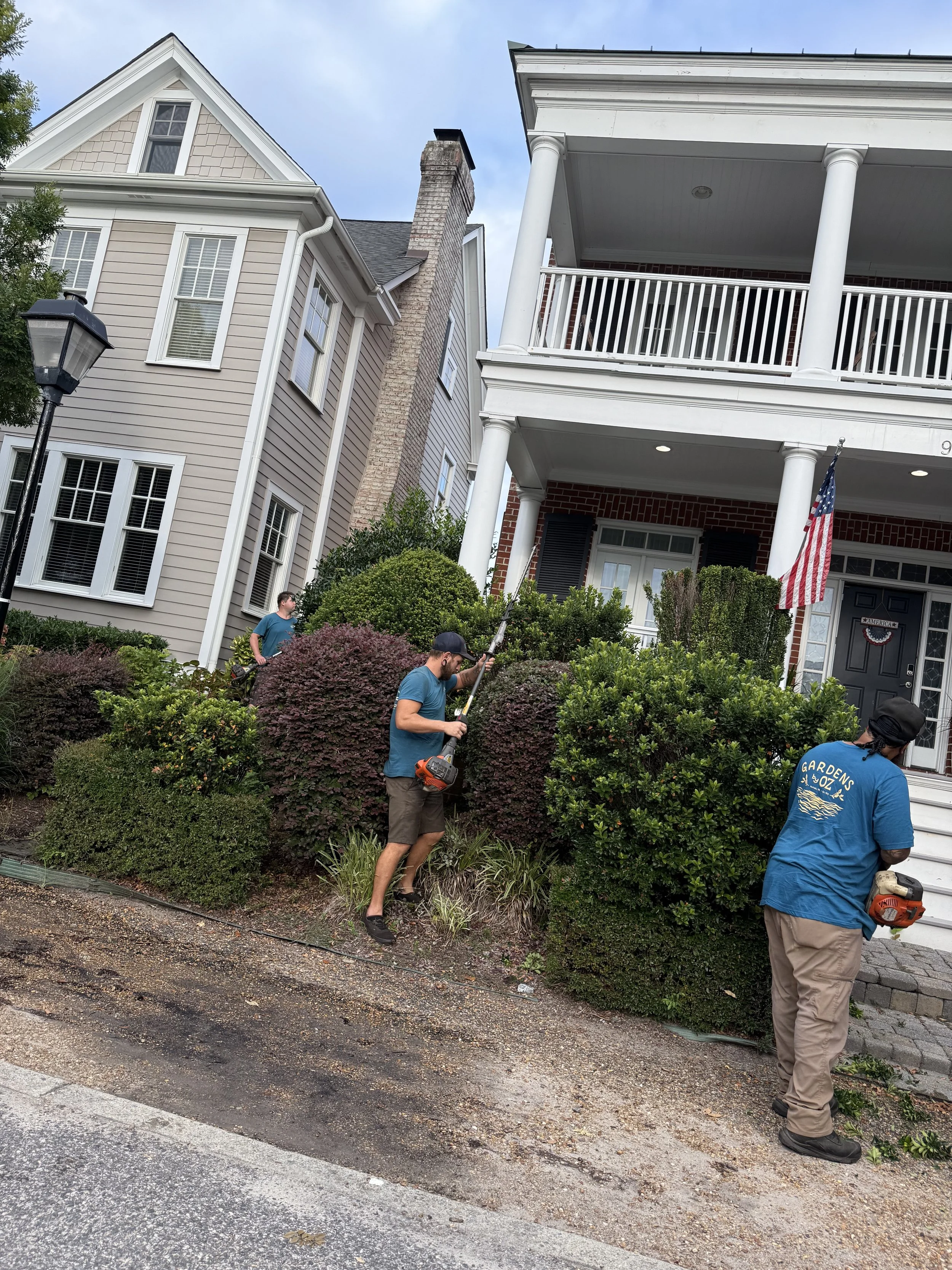 Process — Pruning overgrown shrubs to restore visibility. 