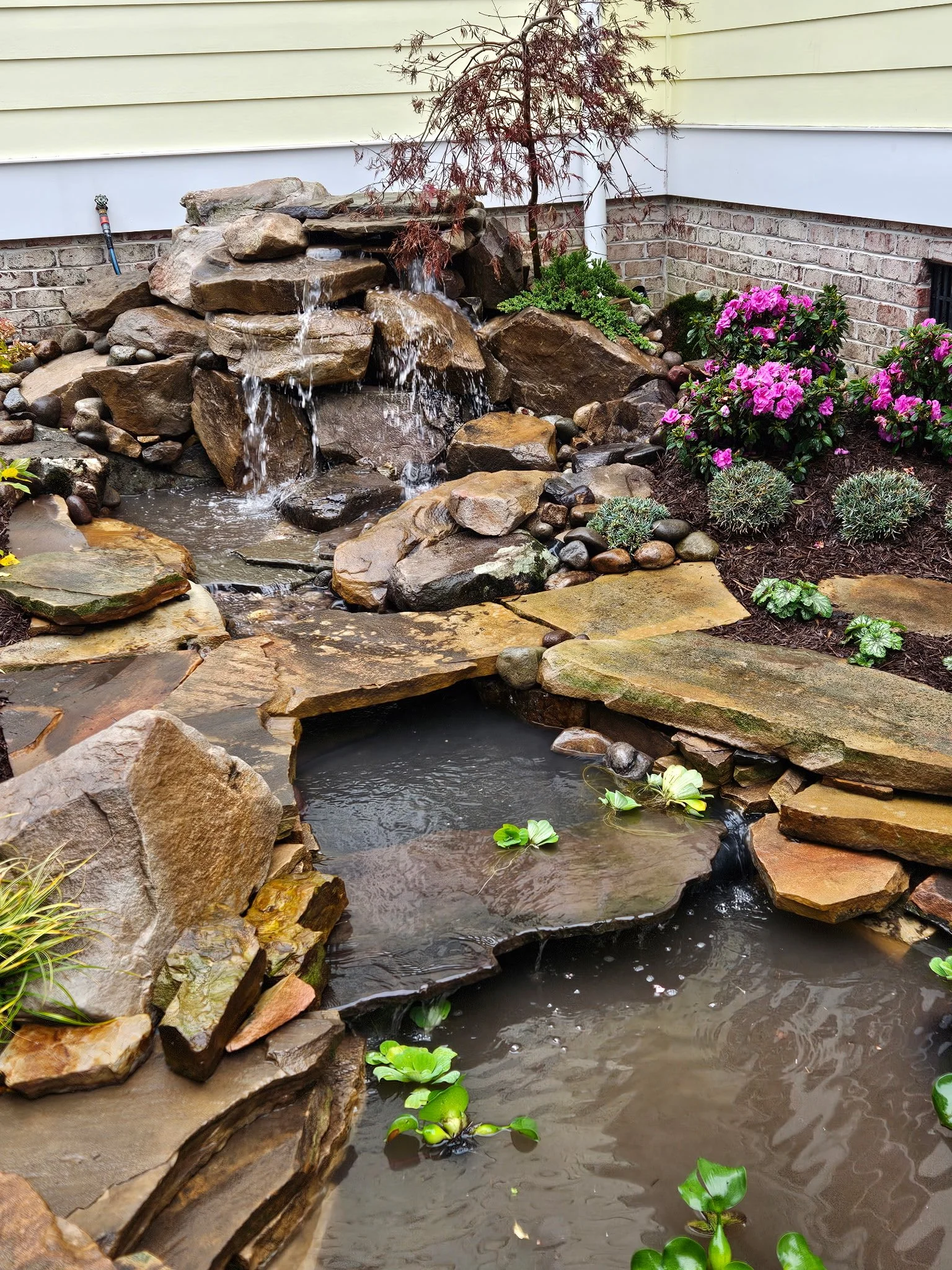 After — Custom pond with natural stone edge and perimeter plantings for a balanced, yet interesting look. 