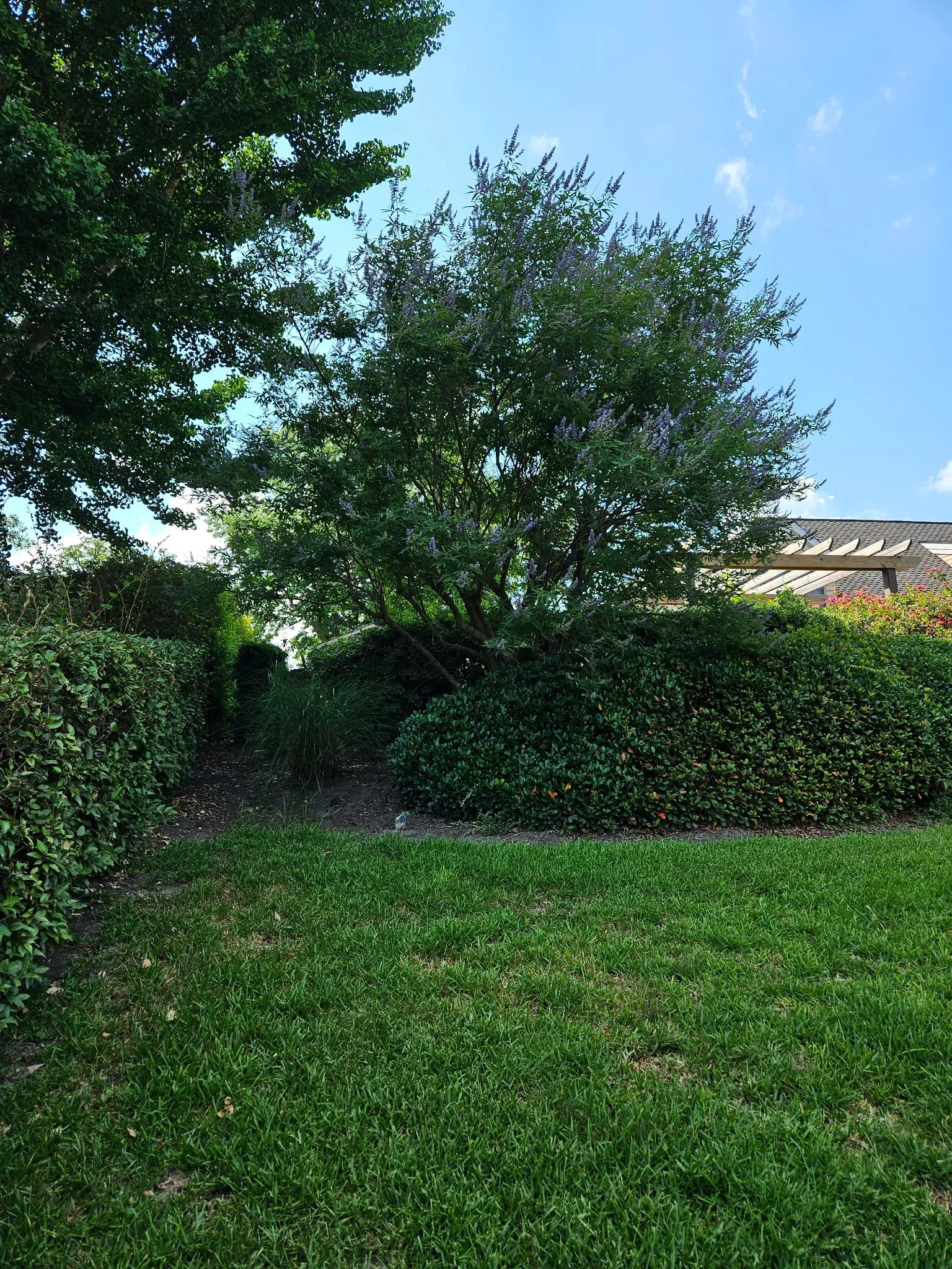 Pruning & Lawn Maintenance — Selective shrub pruning, even mowing, crisp edging, and debris cleanup for a polished finish.