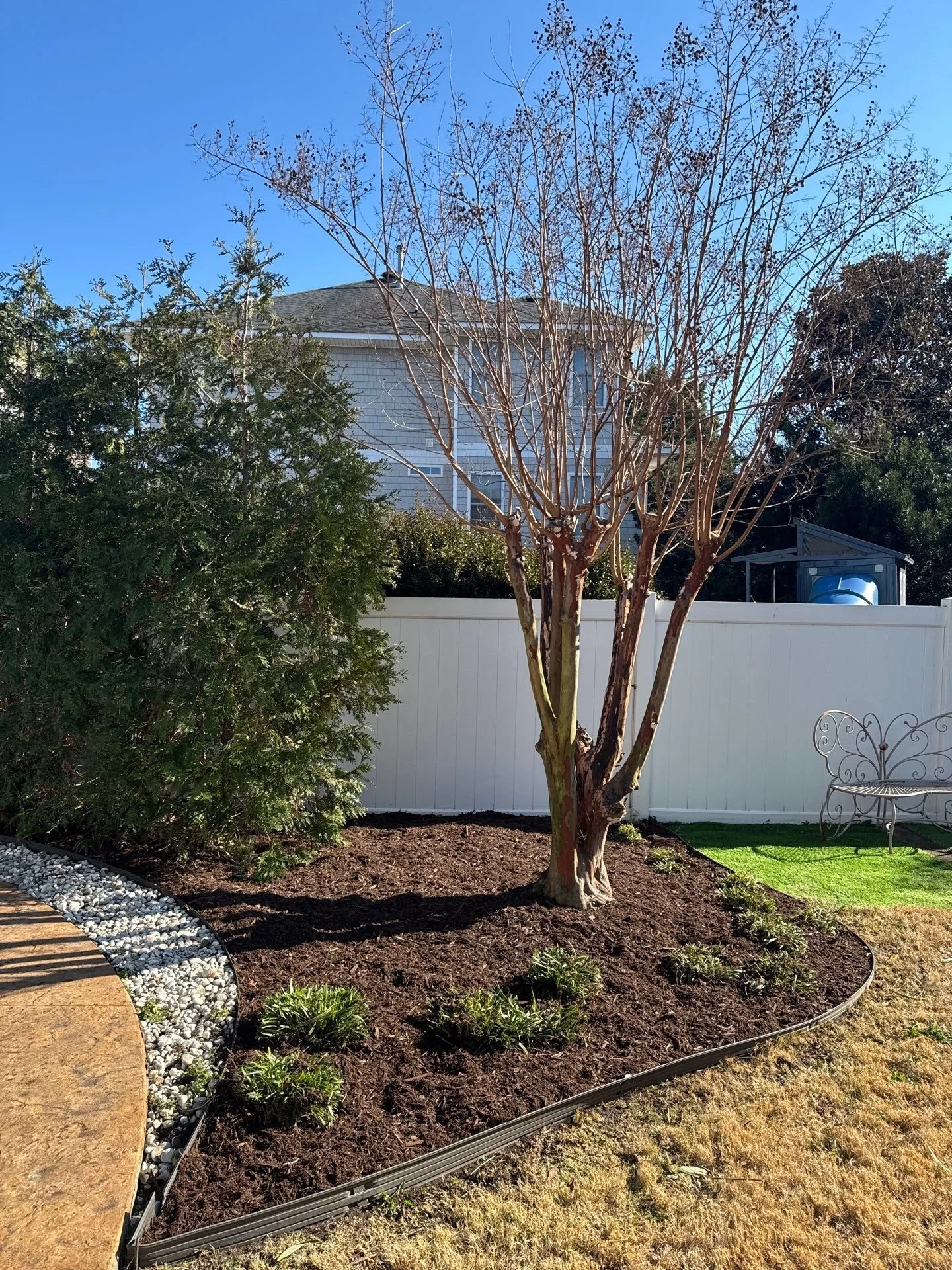 Crepe Myrtle Trimming — Bed cleanup and fresh mulch to promote healthy growth and crisp curb appeal.