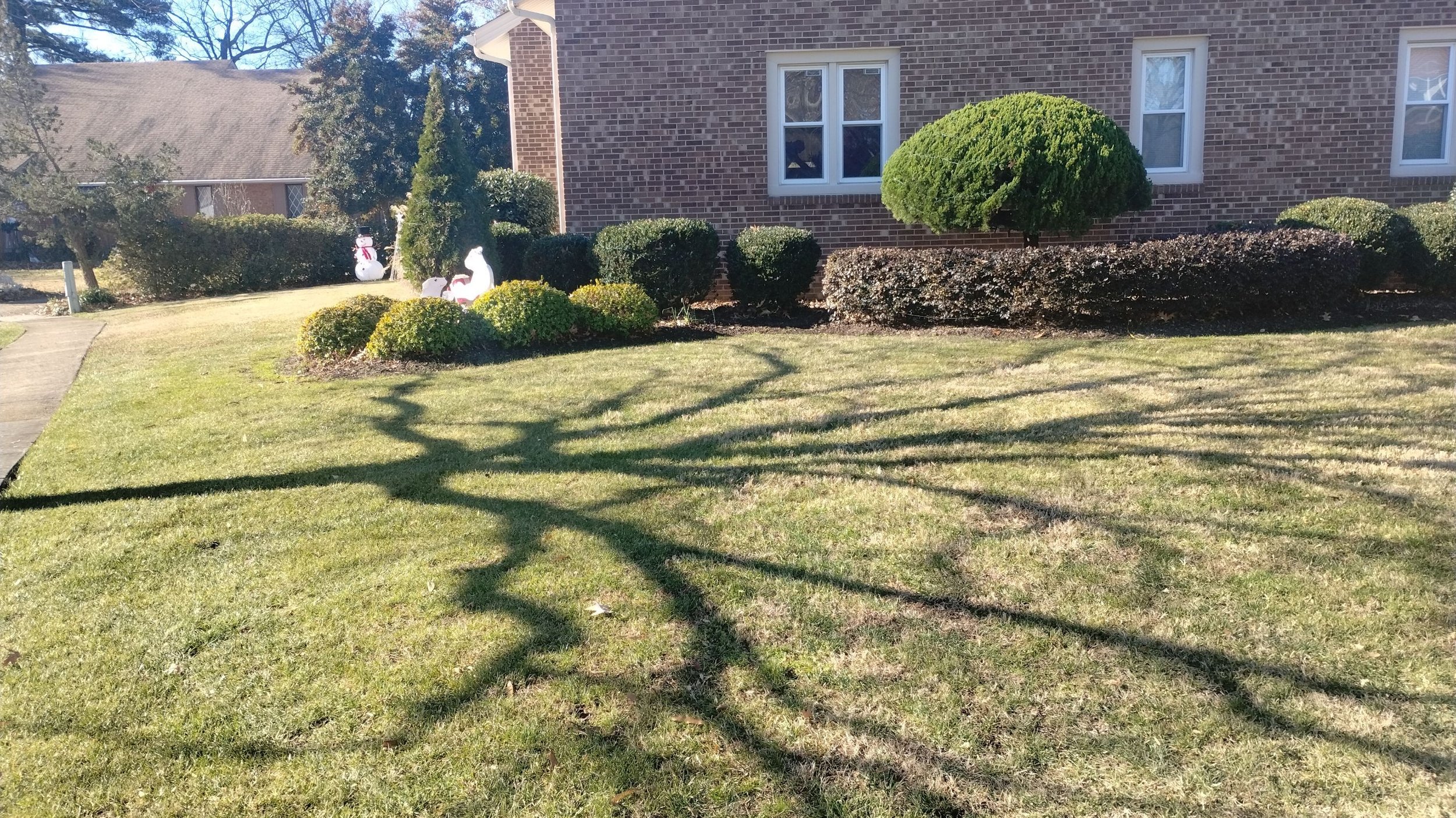 Mowing — Clean, even cut with crisp edging and tidy clippings for a neat, healthy lawn.