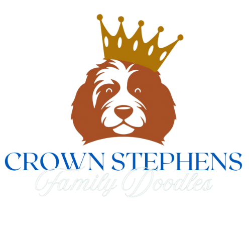 Crown Stephens Family Doodles
