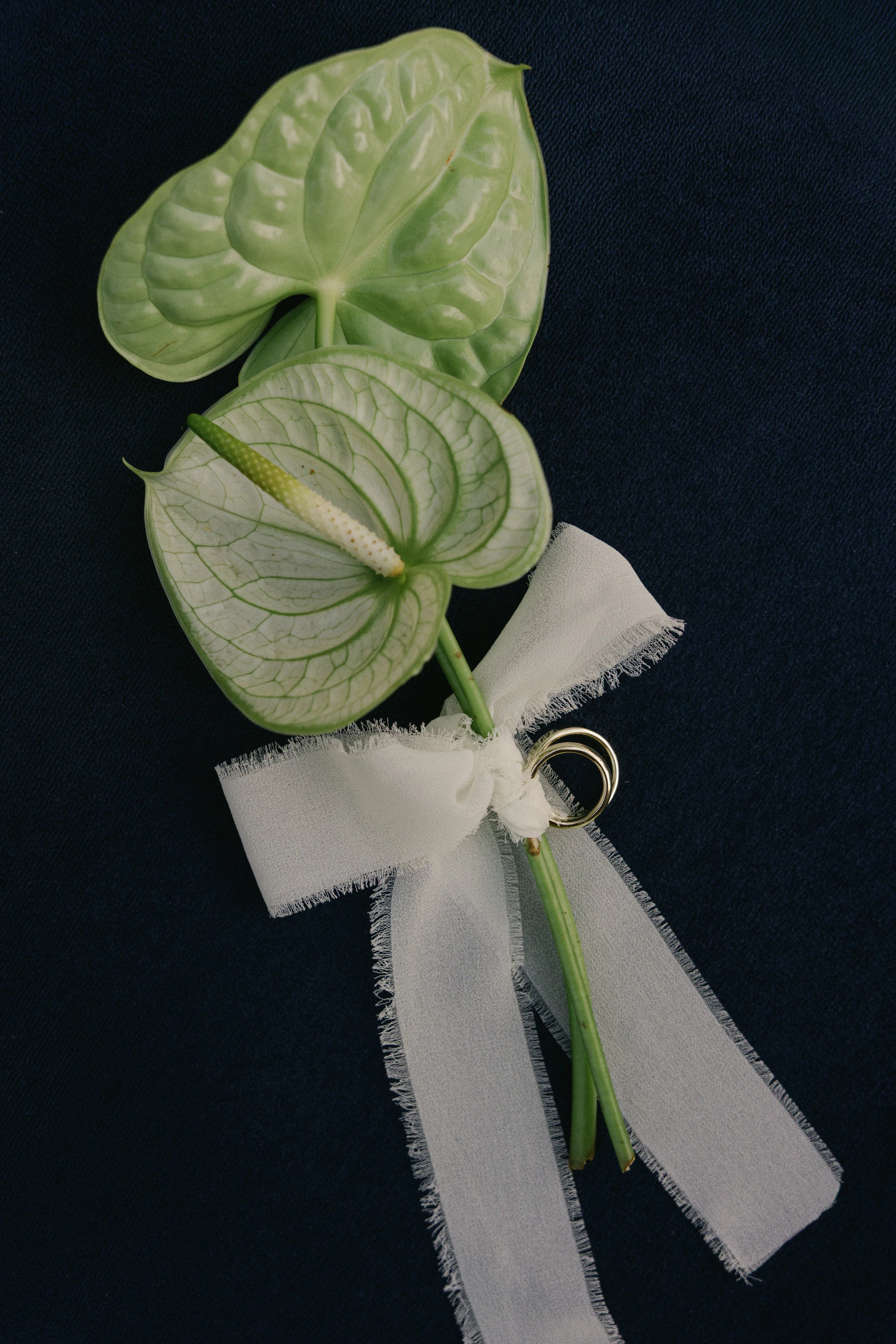 Vivi&Paul-15.08.26-3.jpg