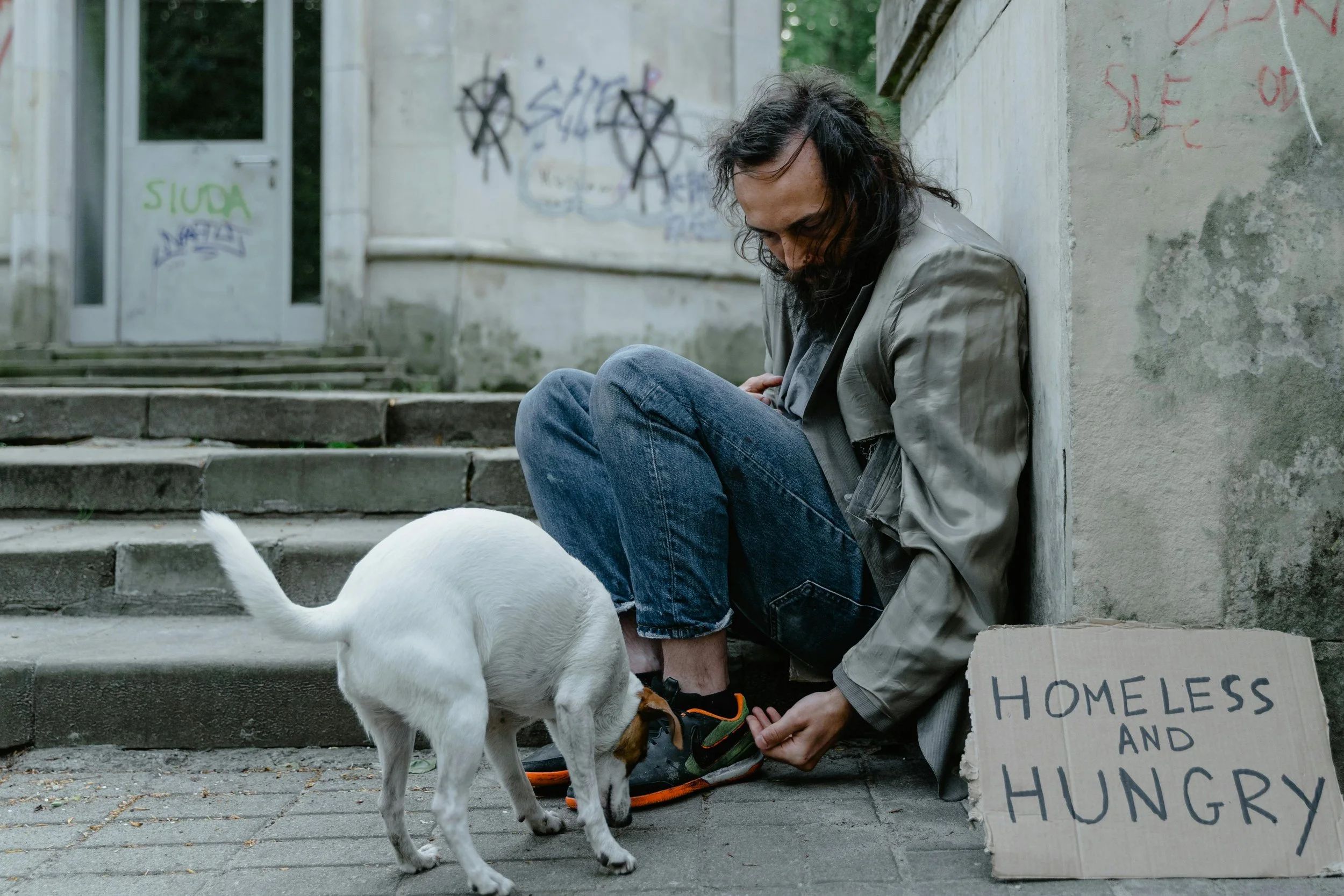Man sitting on concrete steps with a dog beside him, holding a sign that reads, 'Homeless and Hungry.' Graffiti on walls in the background.