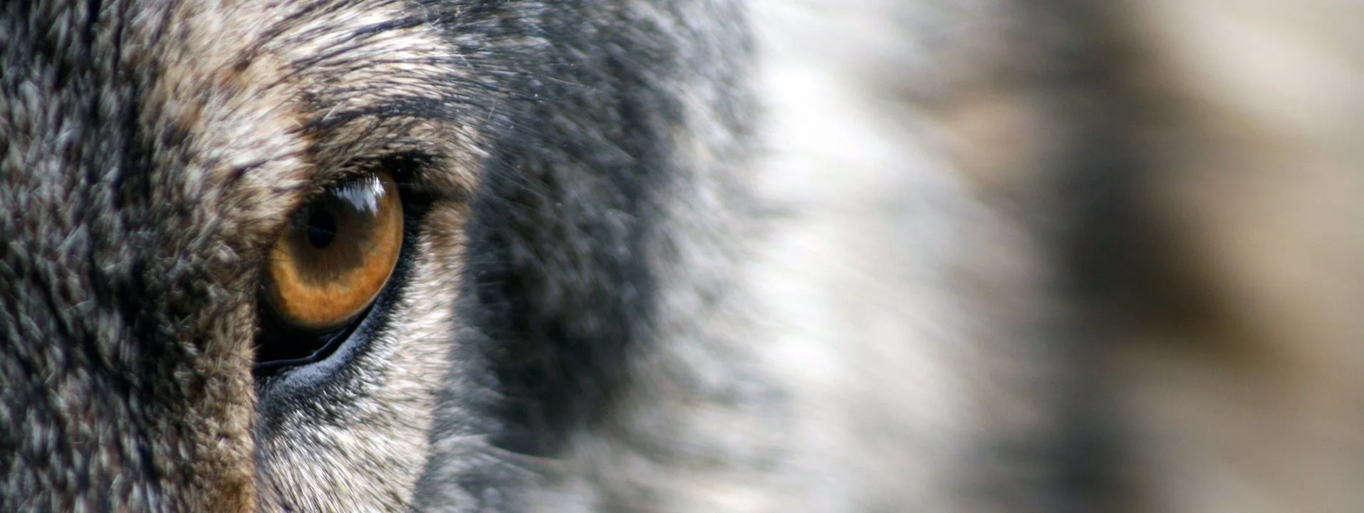 Just What IS Out There?