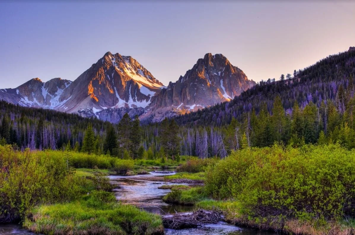 From the White Clouds to the White House