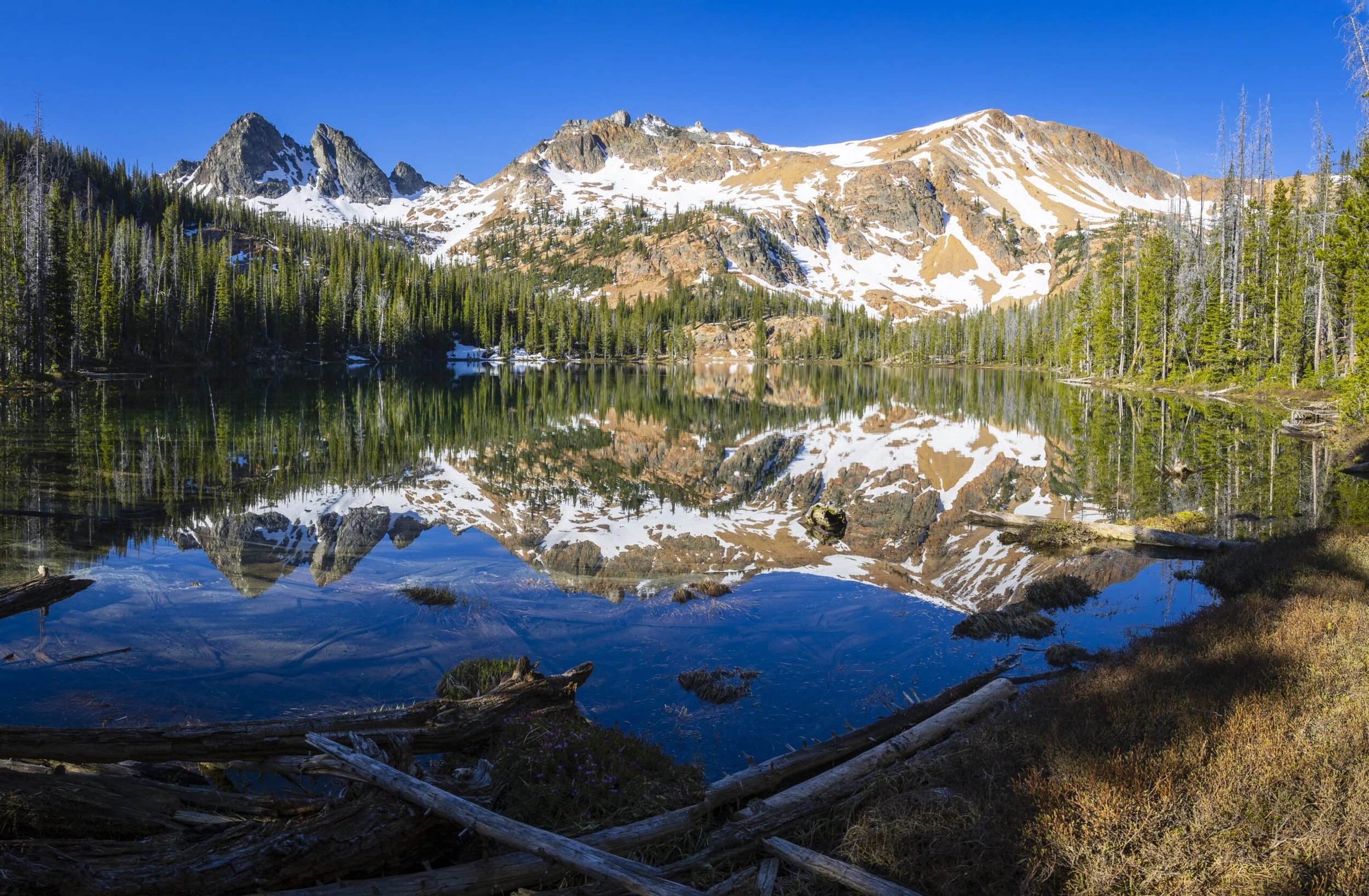 Echoes of the Wild: Recreation, Fire, and the Future of Wilderness