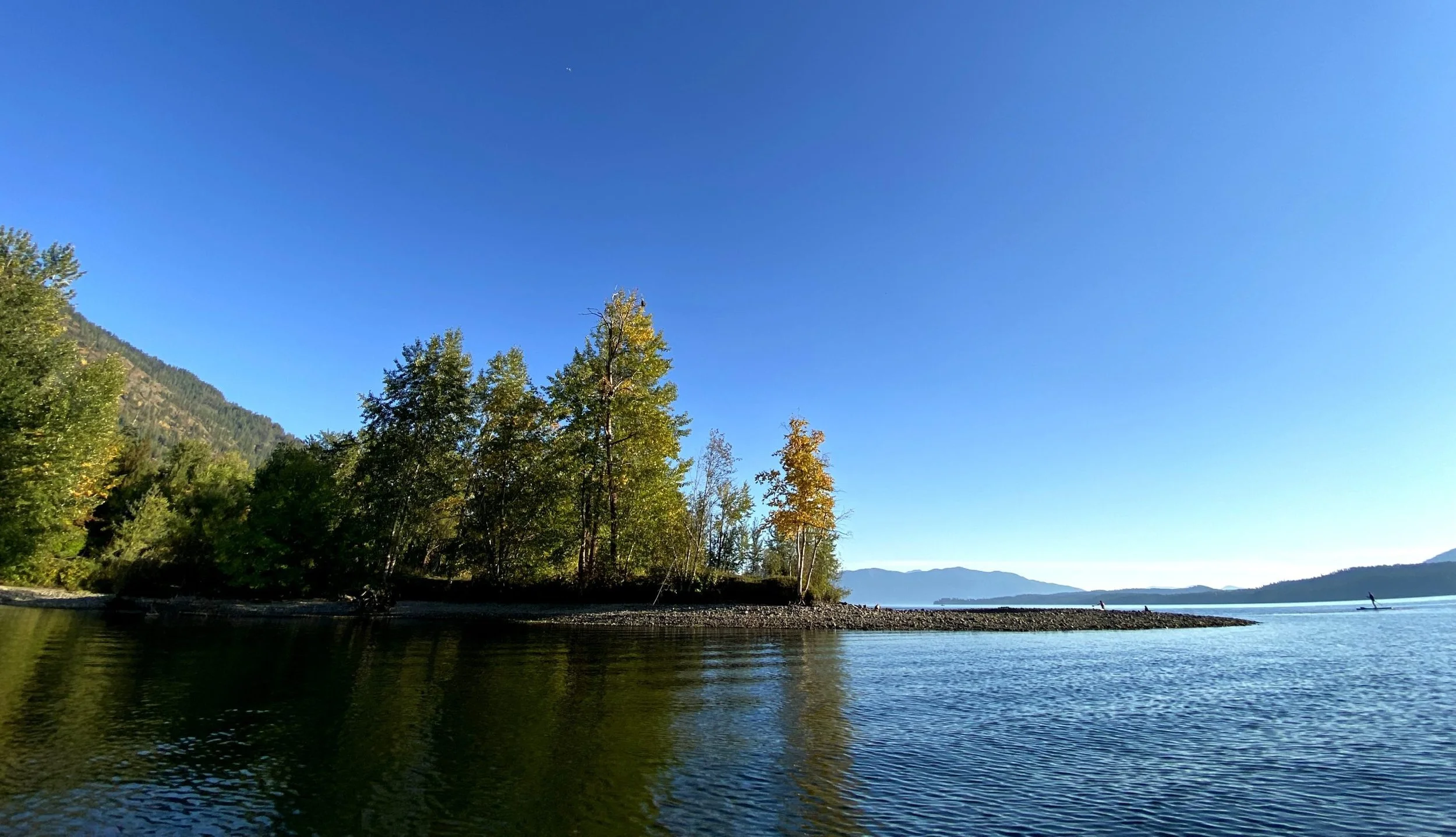Threat to Trestle Creek Bull Trout Sanctuary Continues