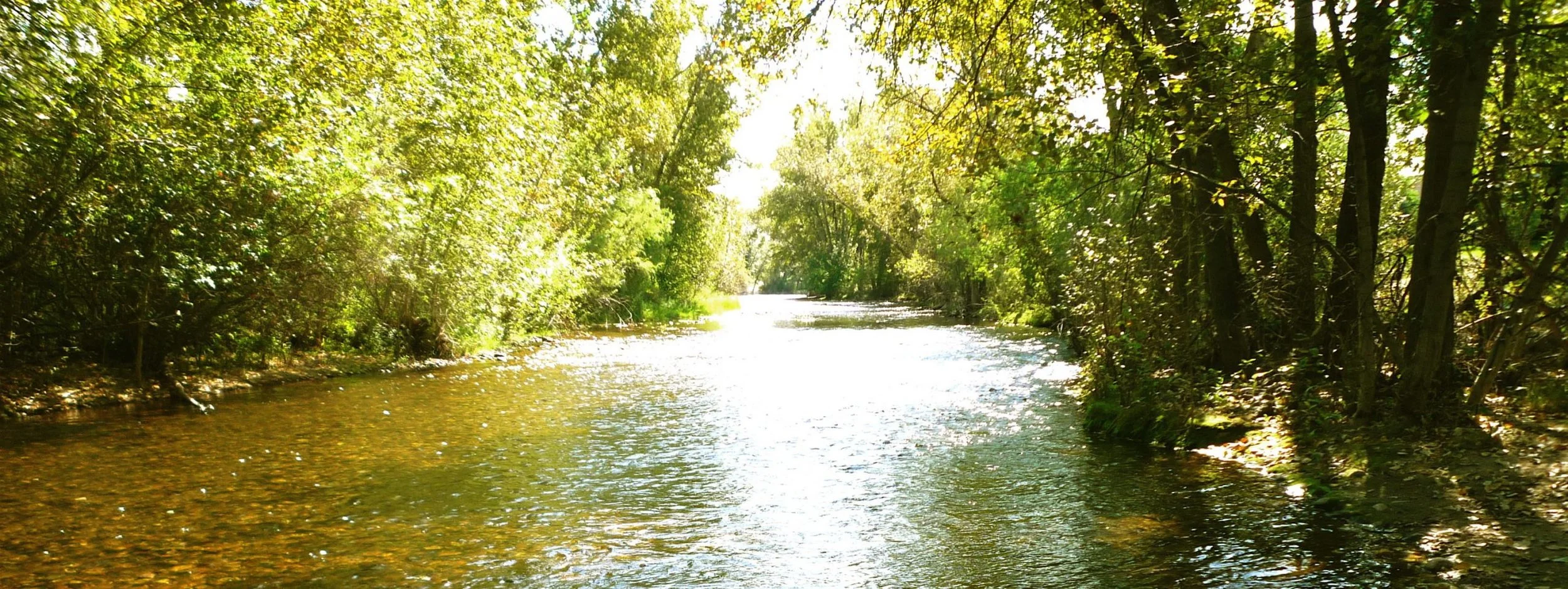 Seeking Guardians of the Wild Places