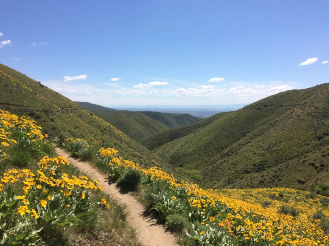 Support Idaho, Support ICL!