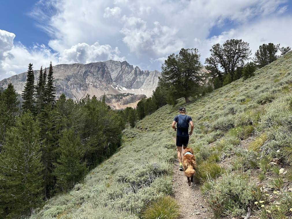 News Release: President Trump Revokes Executive Orders Protecting Public Lands from Unmanaged Motorized Recreation 