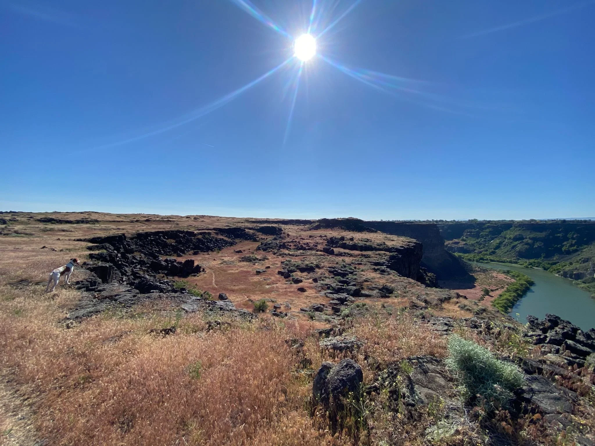 State of the Snake River Presentation