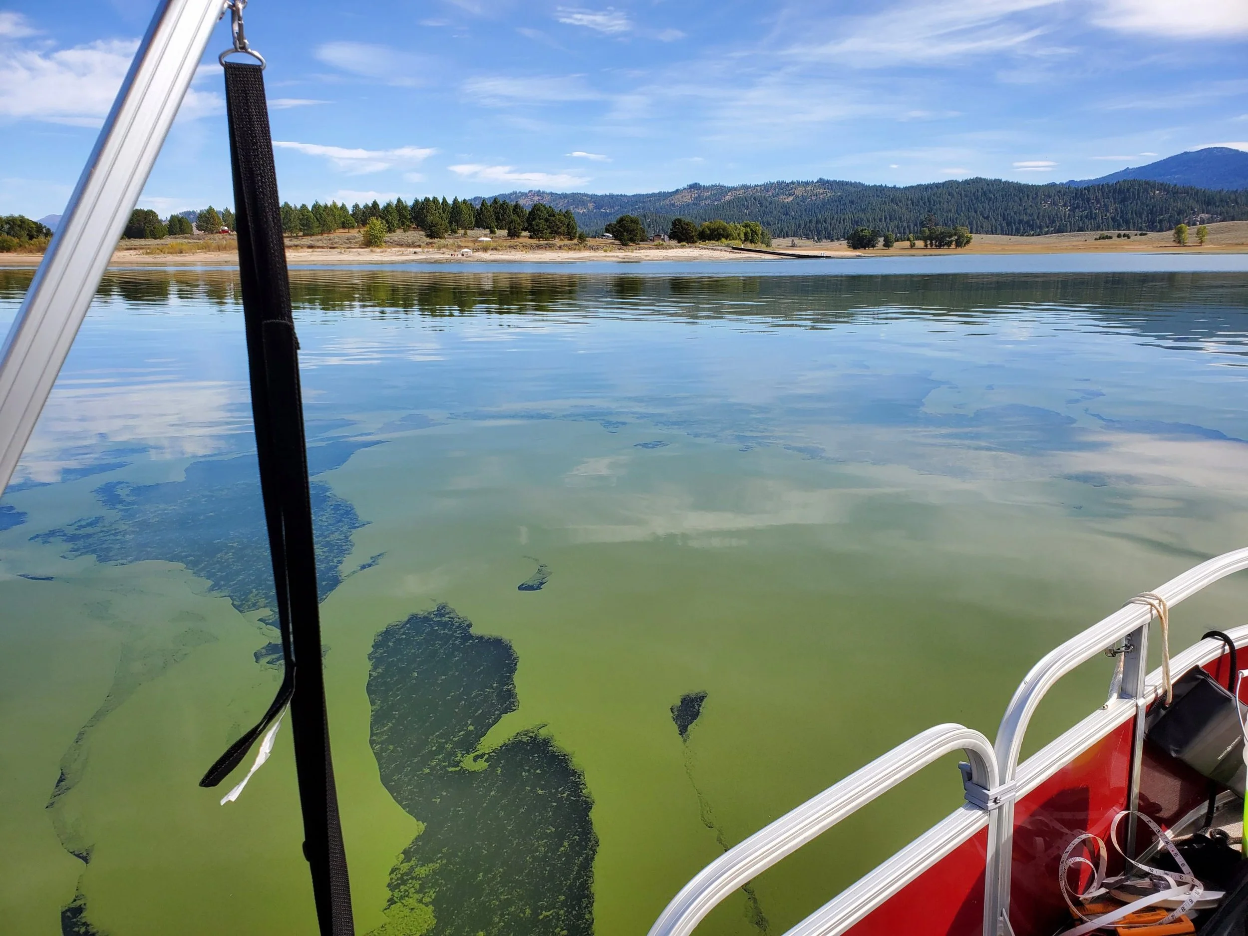 Toxic Algae is Showing Up Earlier in Idaho. Here’s Why That Matters