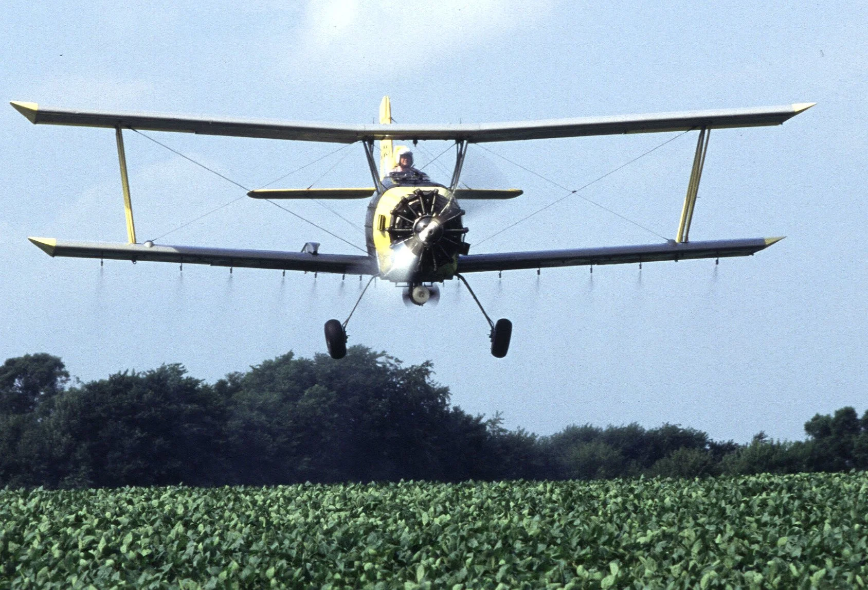 Bayer Continues Its Fight for Legal Immunity Over Harm Caused by Pesticides