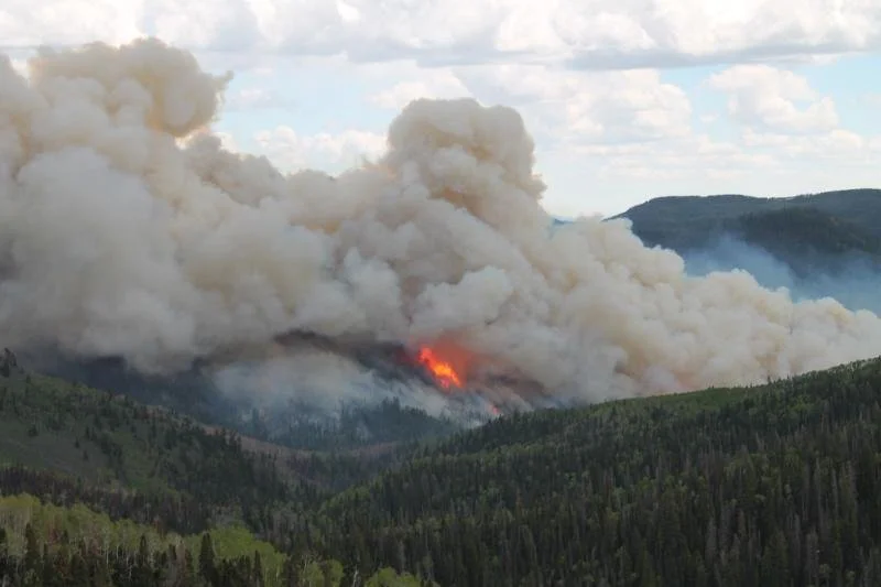 Stolen Summers: Heat, Smoke, and the Summer We Knew