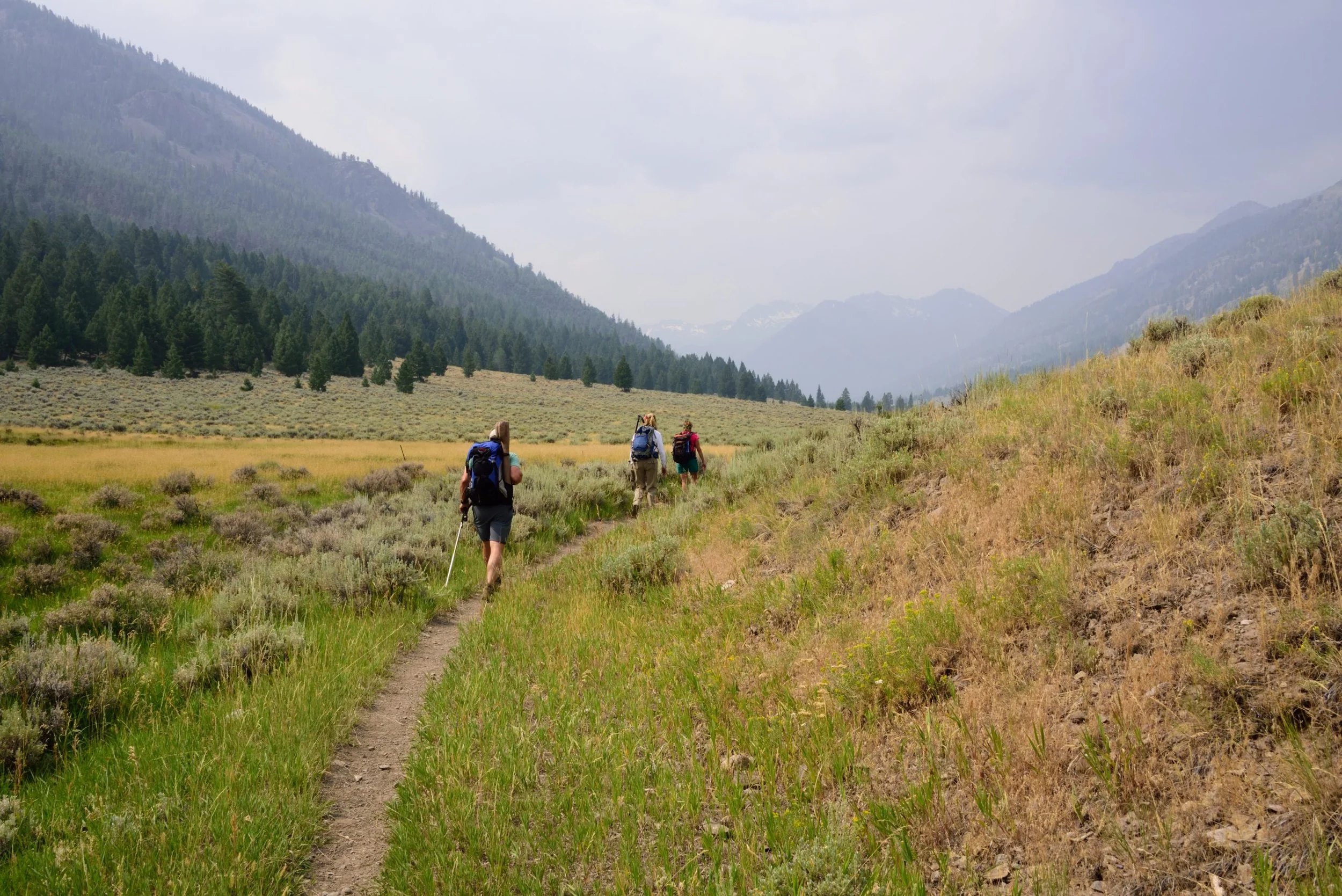 Stop BAAJA: What’s at Stake for Idaho’s Public Lands, Water, and Wildlife