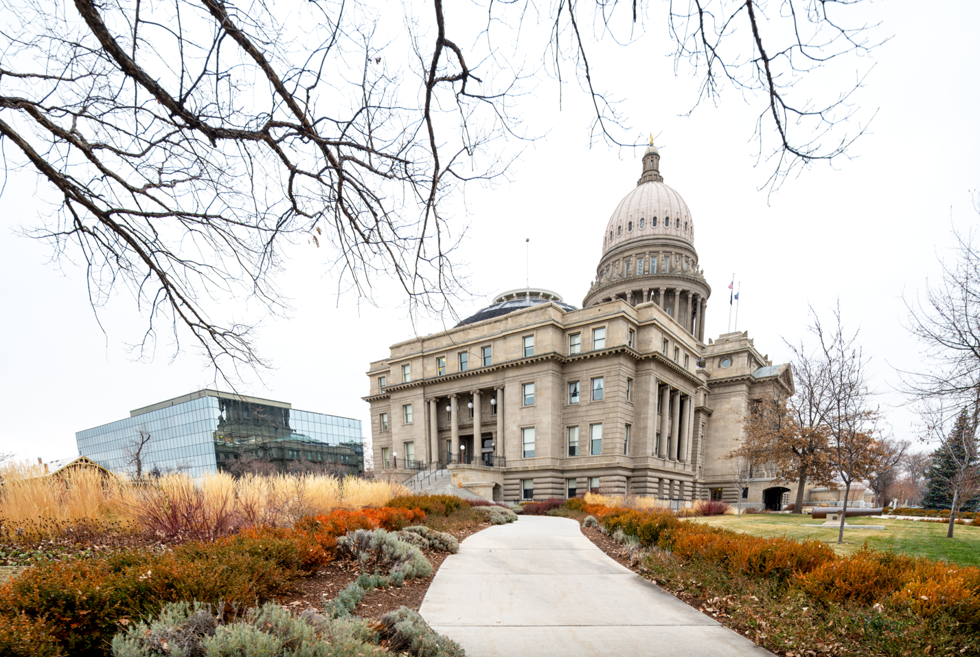 ICL Legislative Update: From Ratatouille to the Rotunda, the Frenzy at the Statehouse