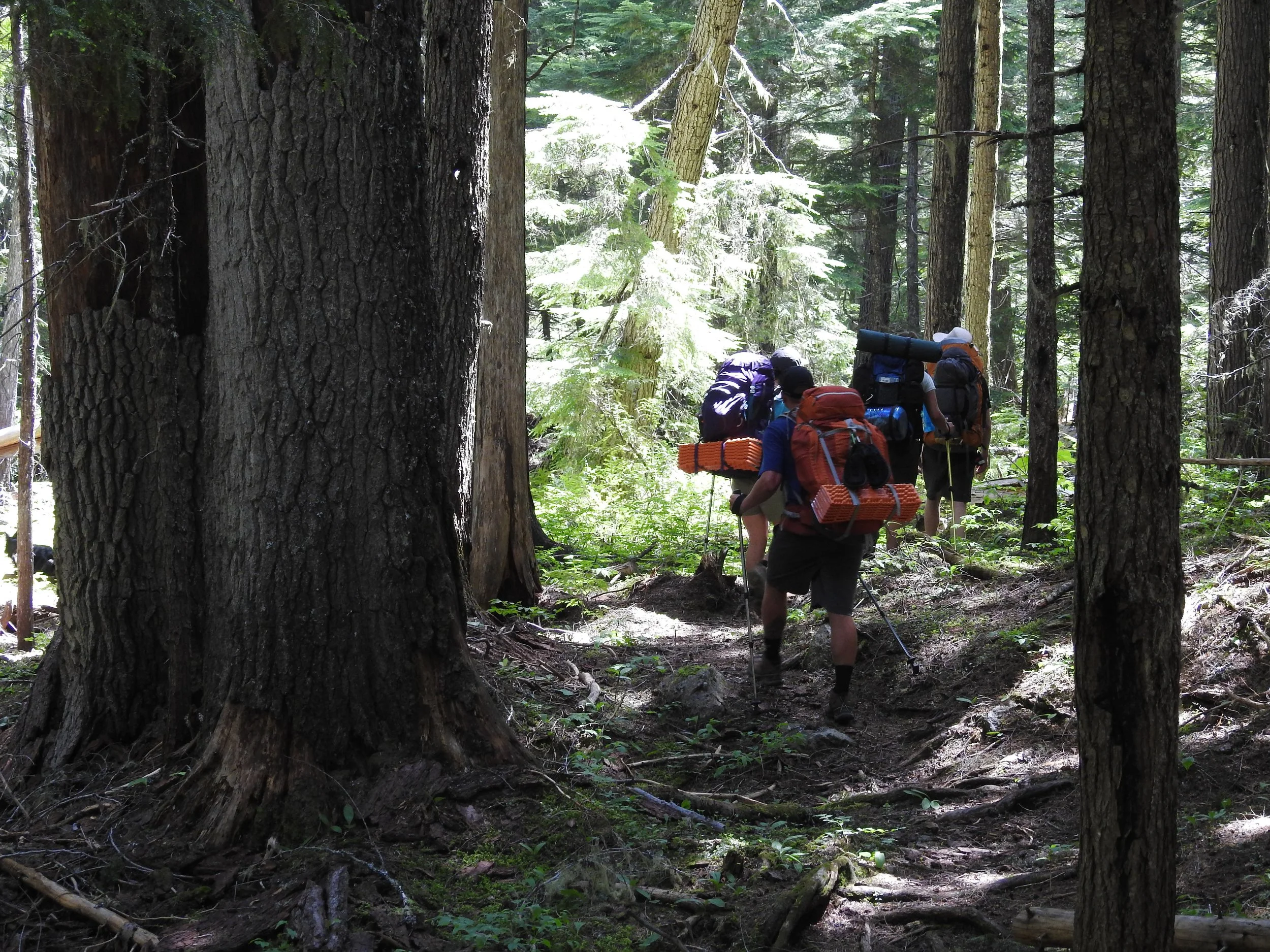 Progress and Challenges in the Idaho Panhandle Public Lands Initiative